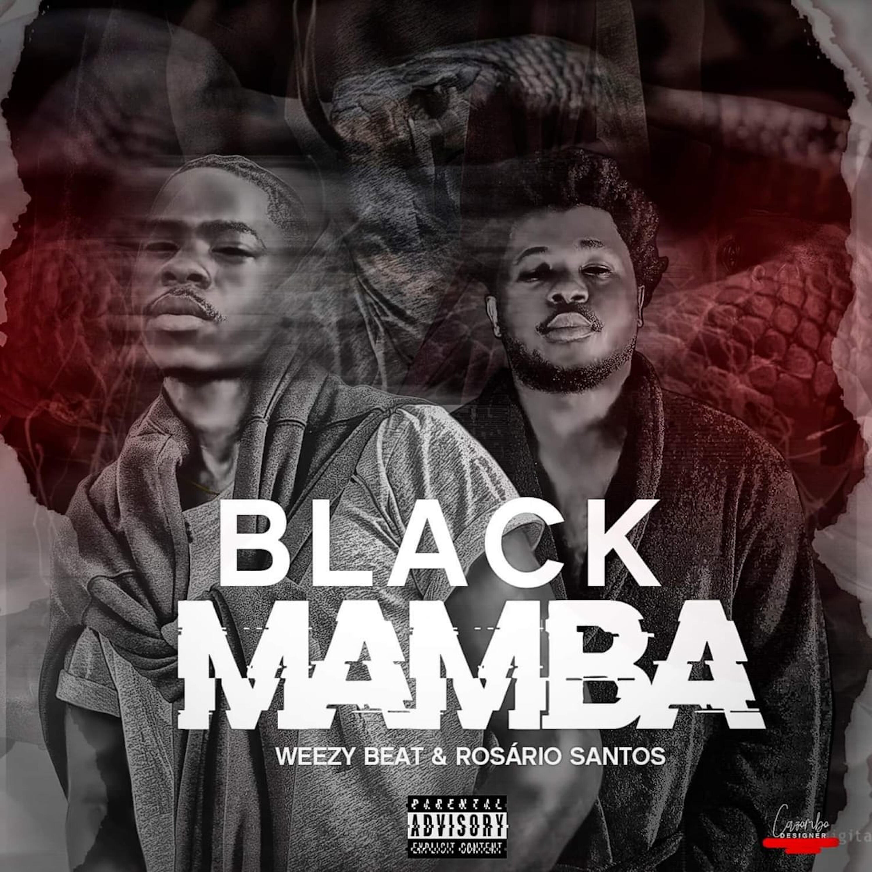 Релиз Black Mamba