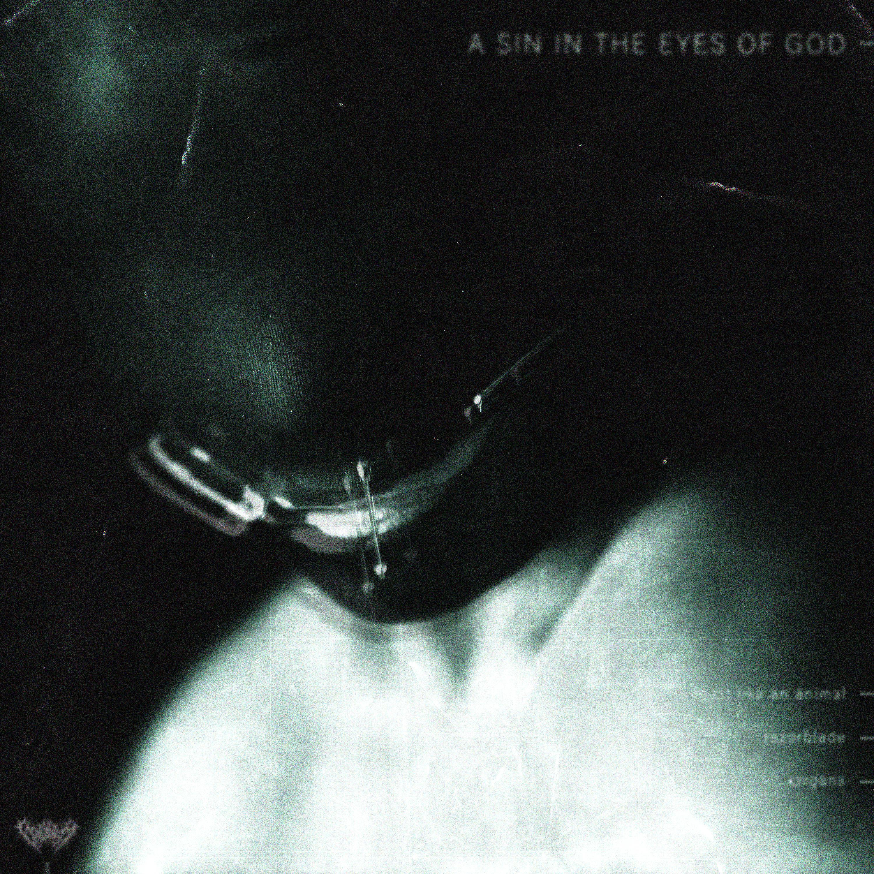 Релиз A SIN IN THE EYES OF GOD
