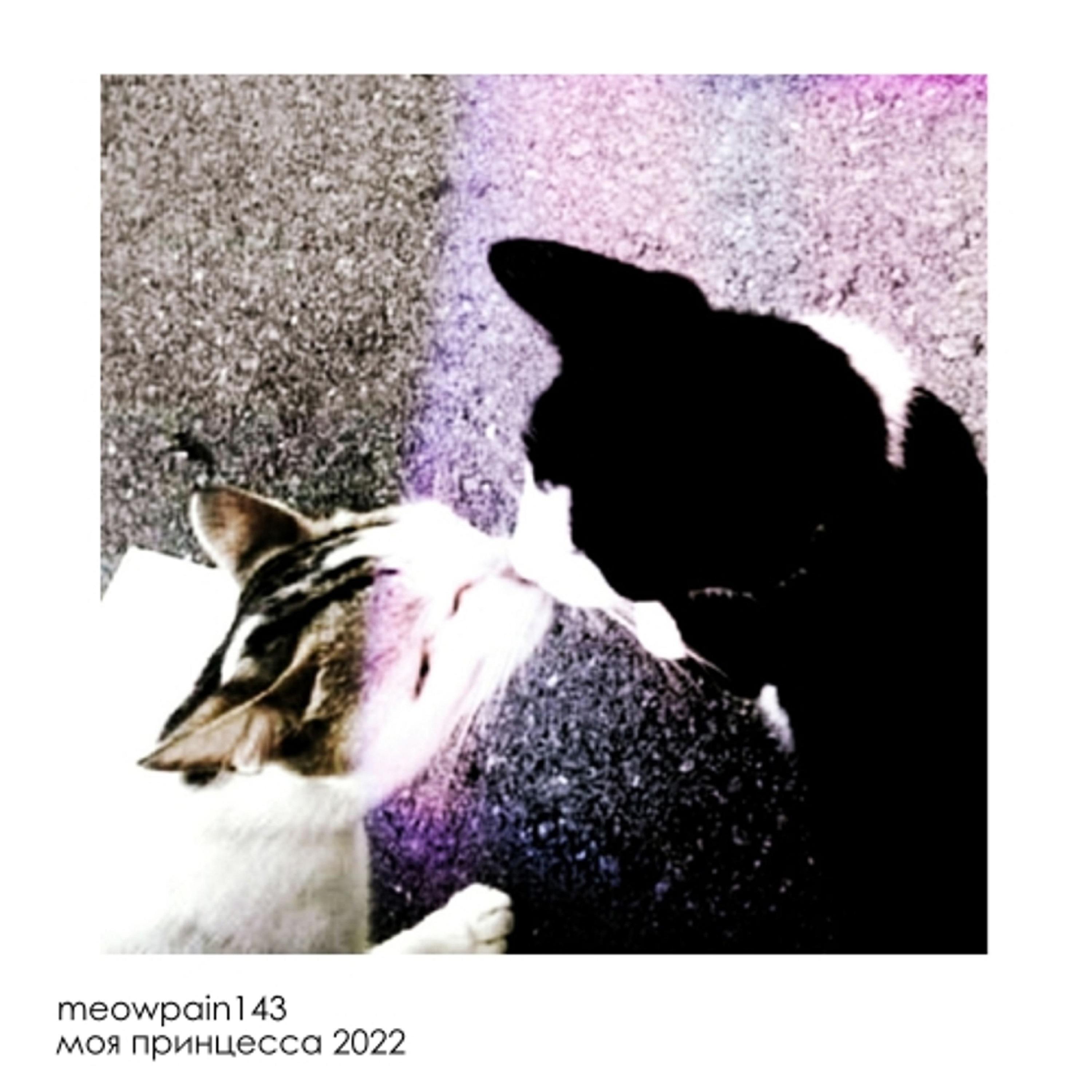 Релиз моя принцесса 2022