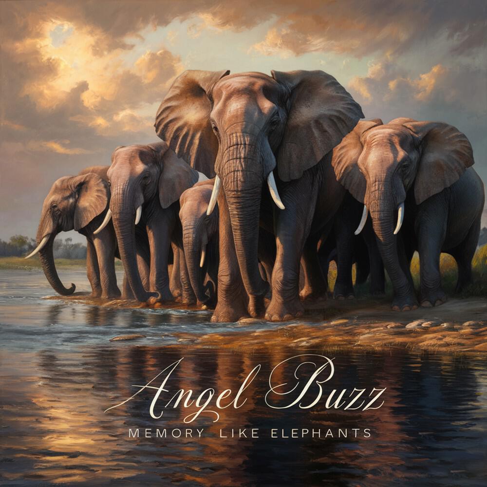 Релиз Memory Like Elephants