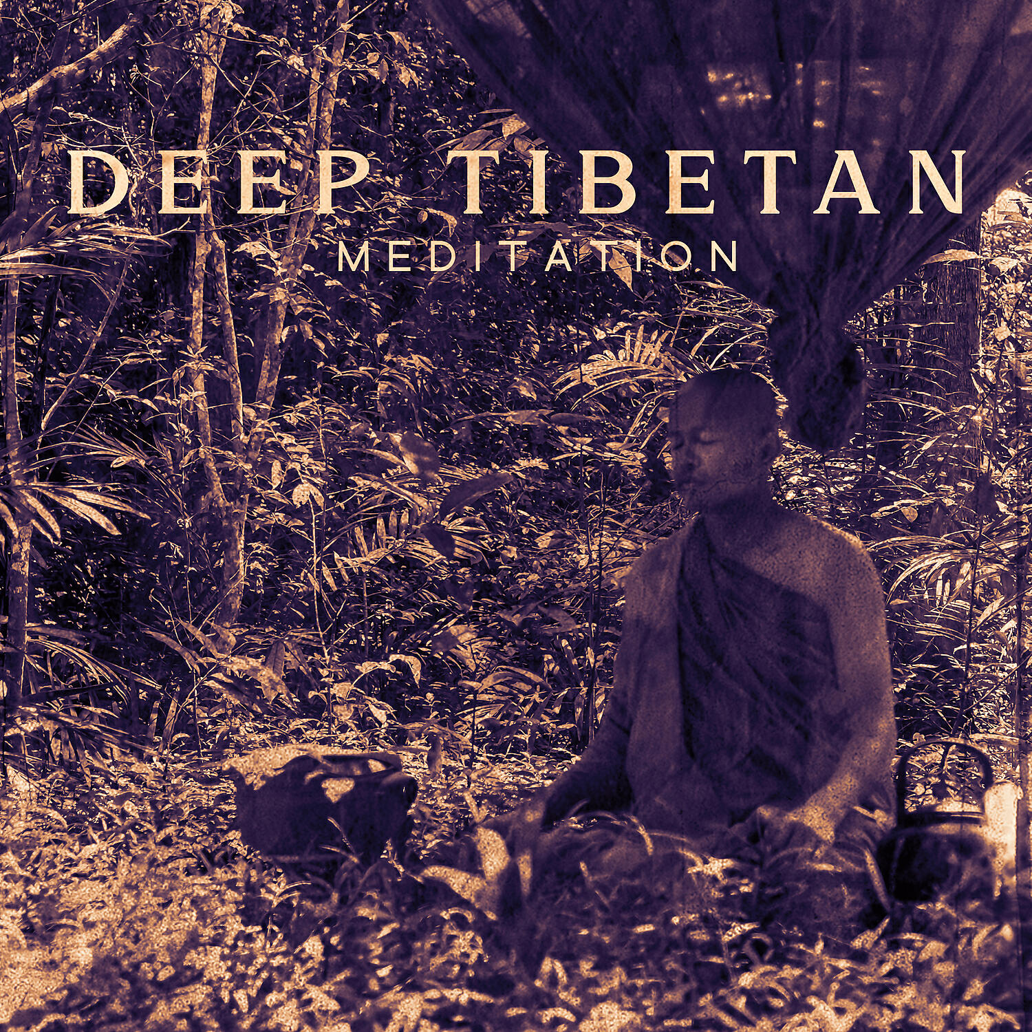 Релиз Deep Tibetan Meditation - A Journey Inside the Soul