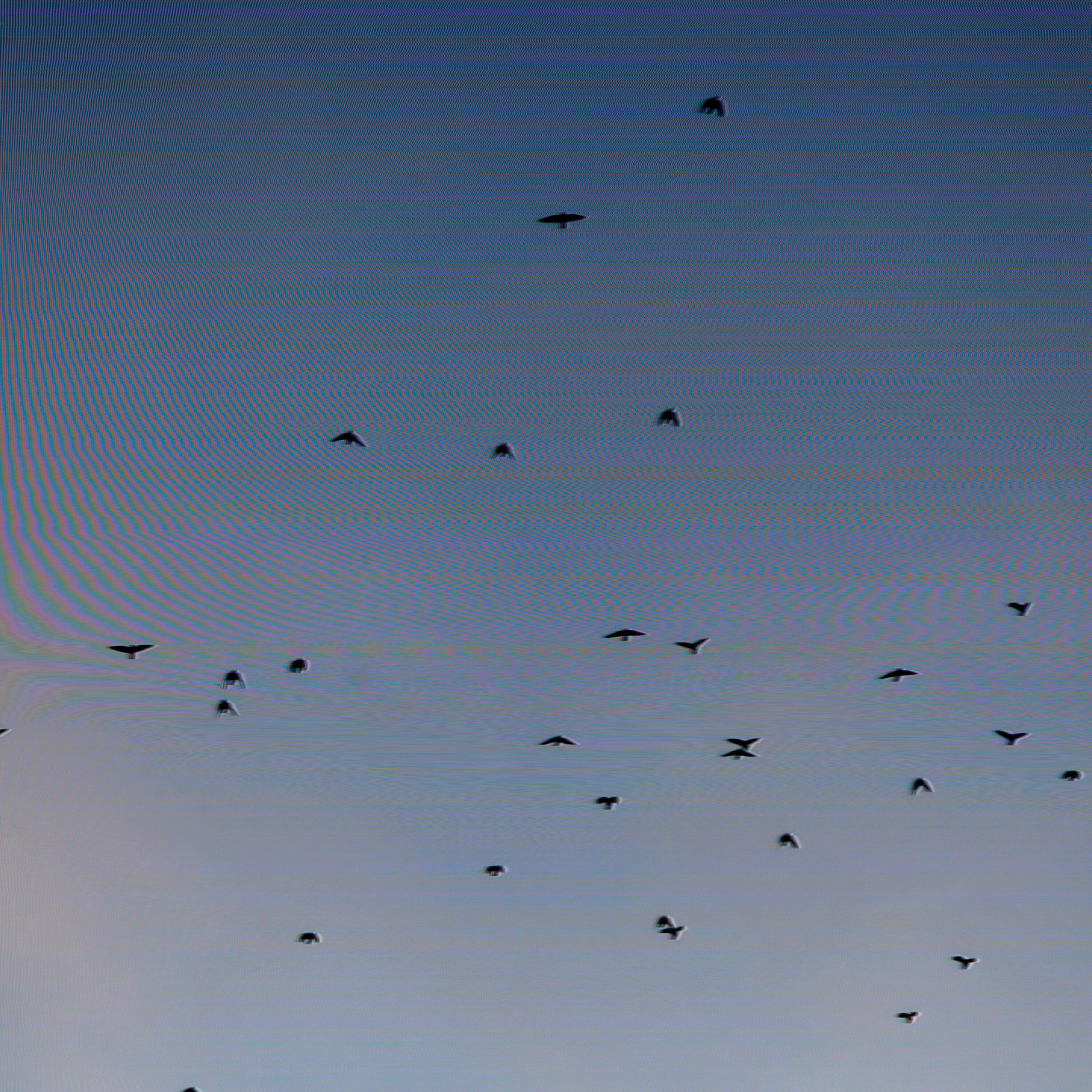 Релиз today would be a great day to disappear forever