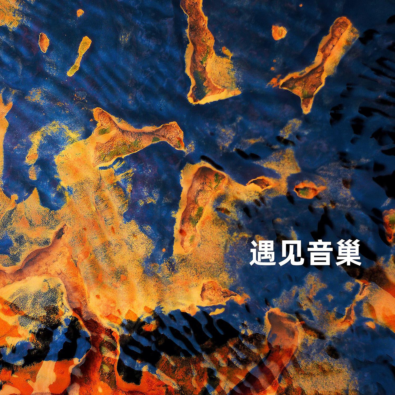 Релиз 遇见音巢