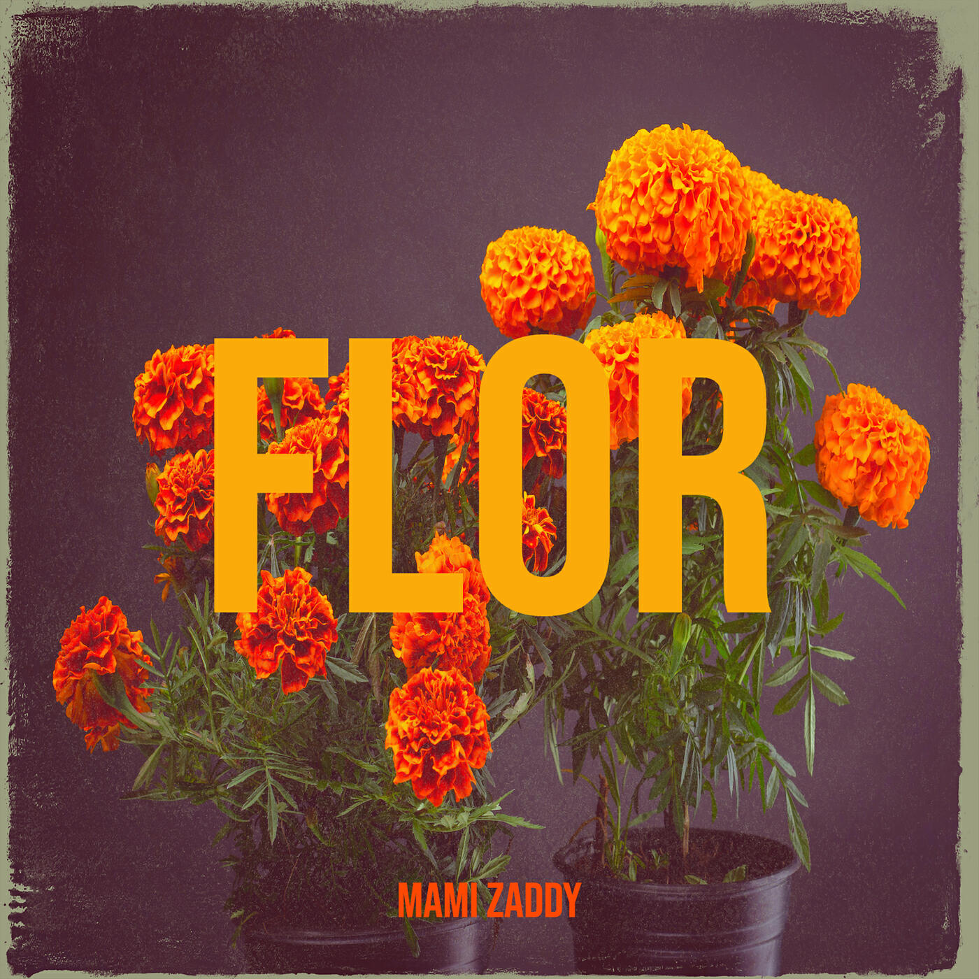 Релиз Flor