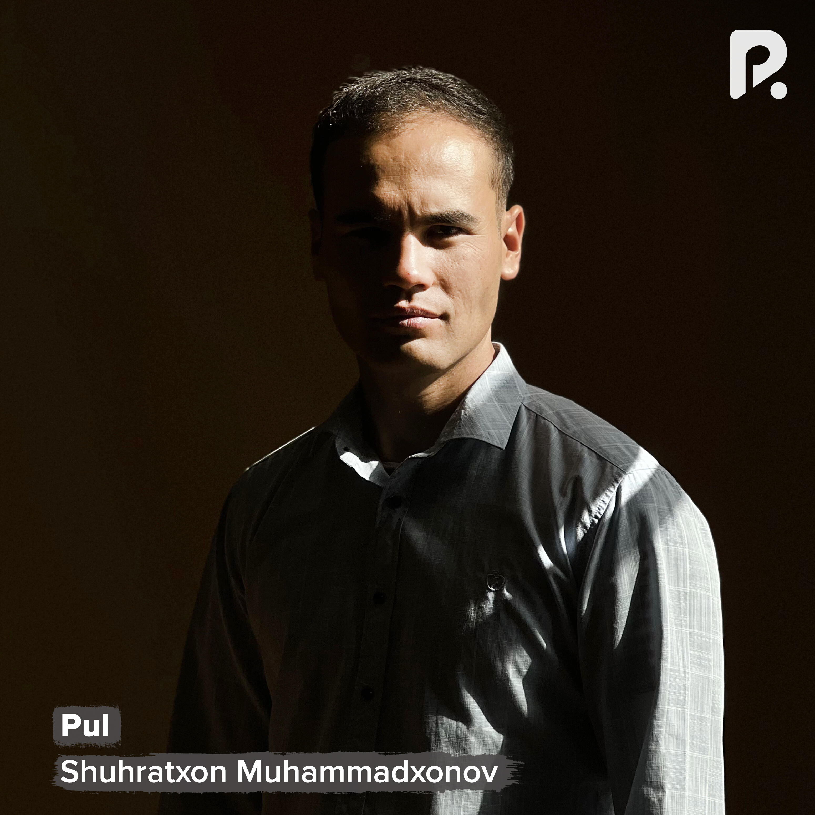 Релиз Pul
