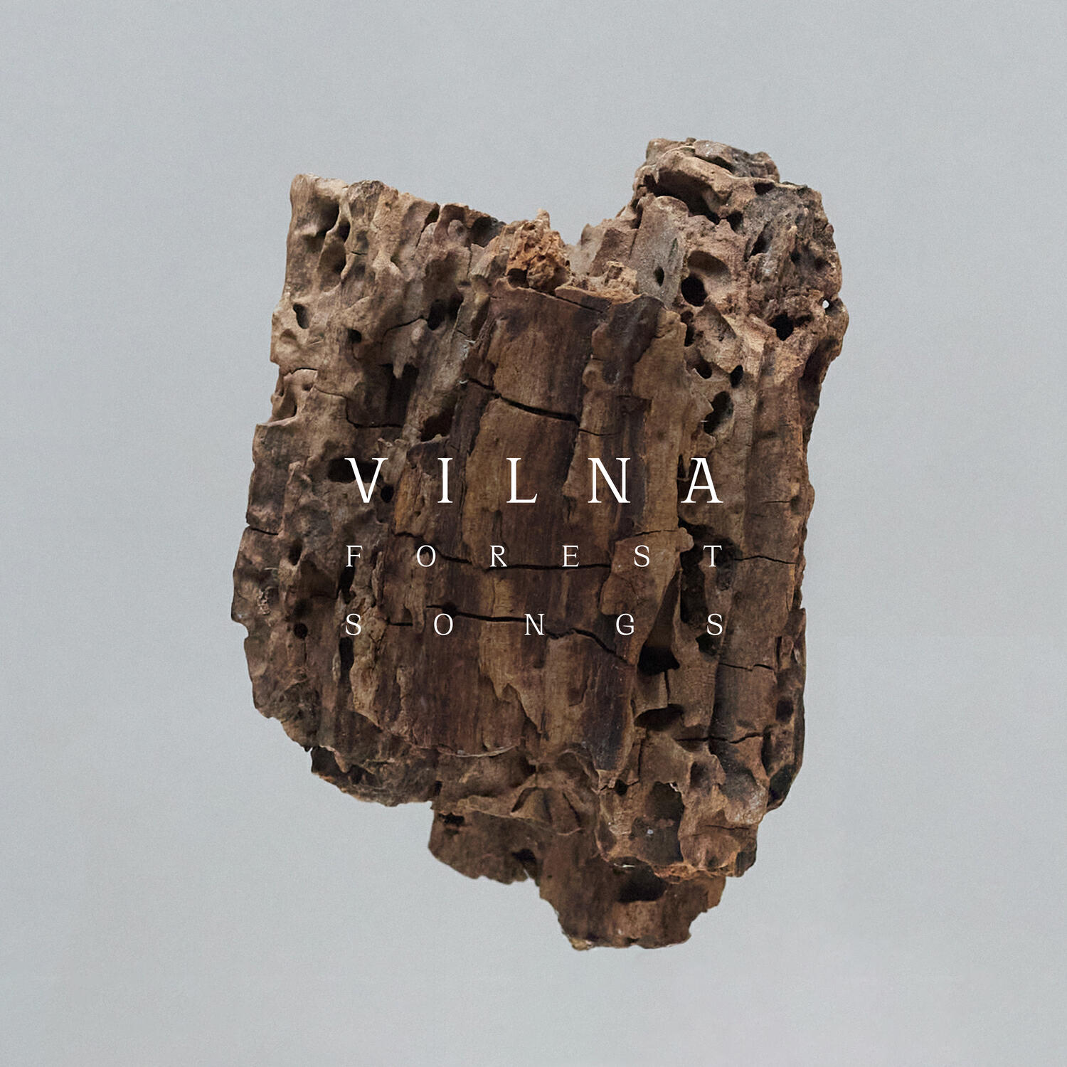 Релиз Forest Songs