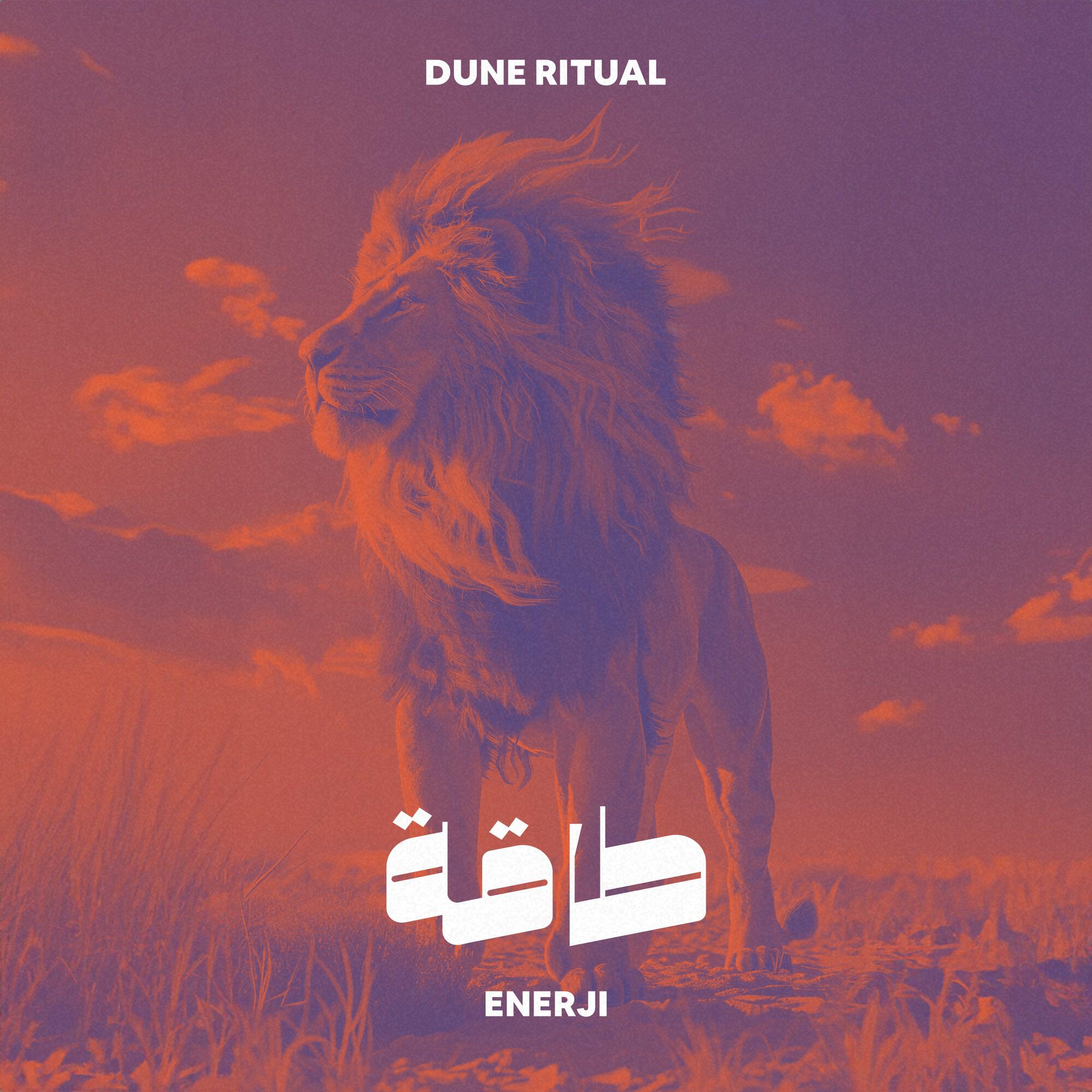 Релиз Enerji