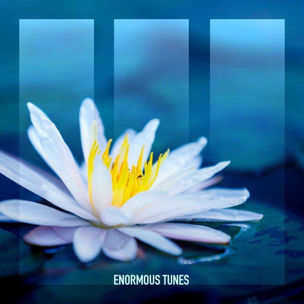 Релиз White Lotus