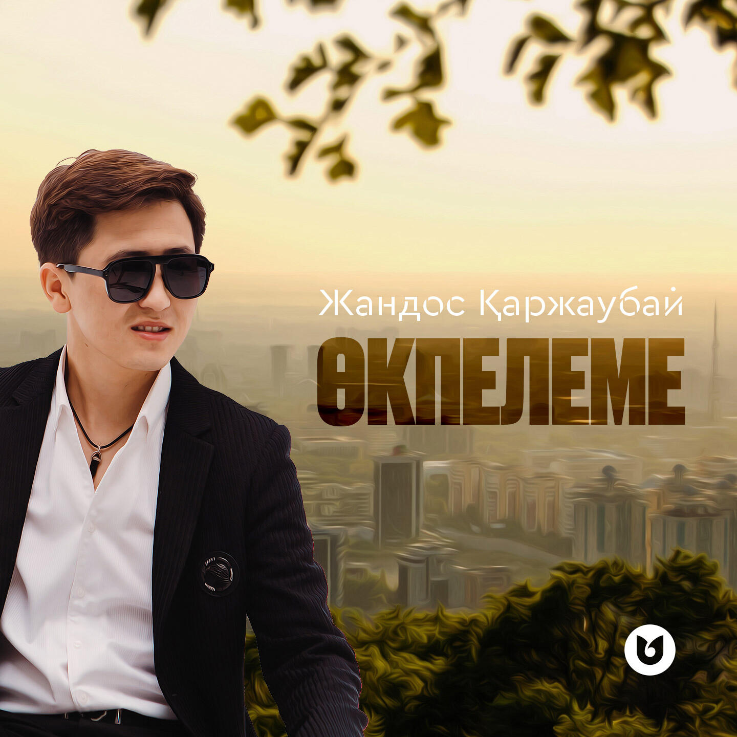 Постер альбома Өкпелеме
