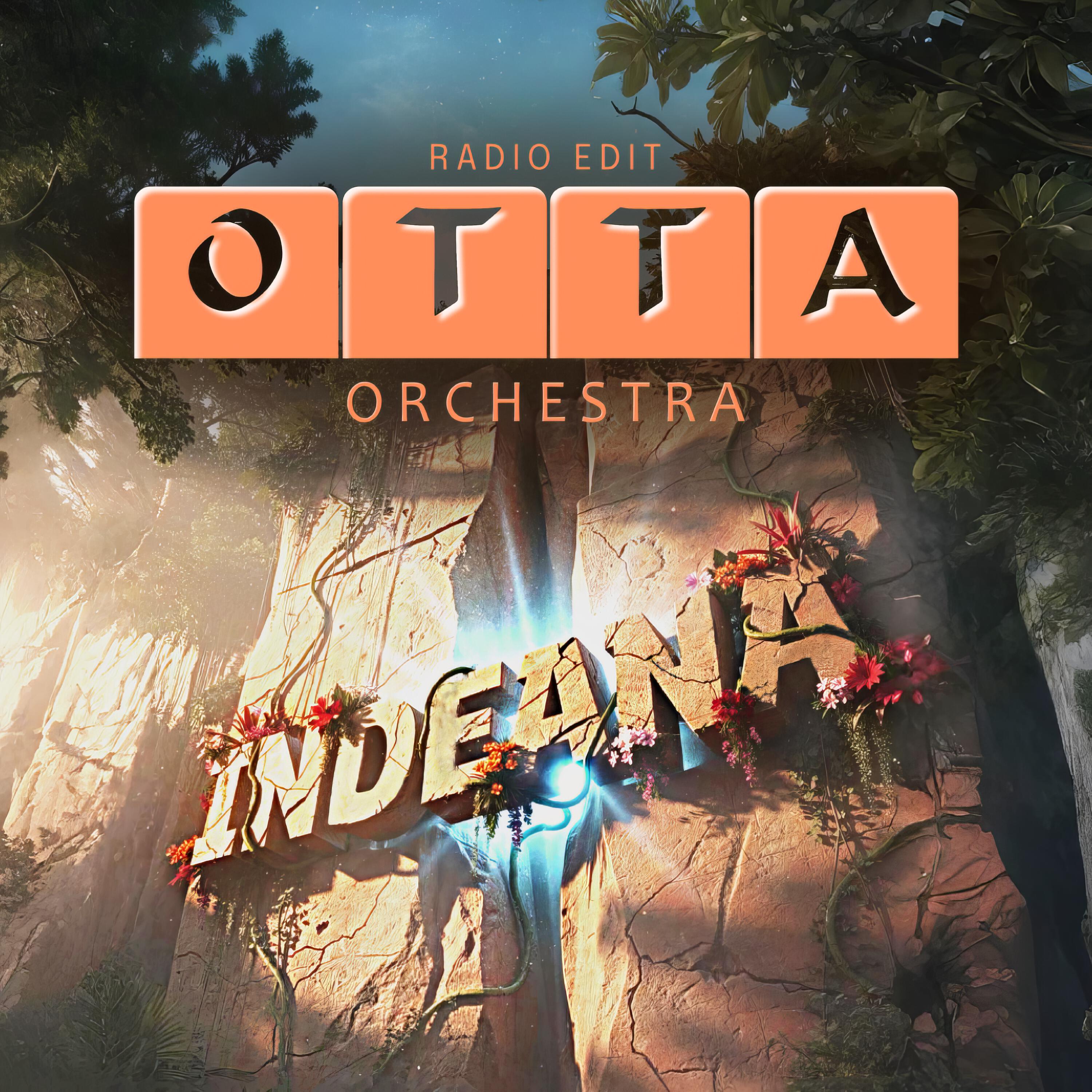 Релиз Indeana (Radio Edit)