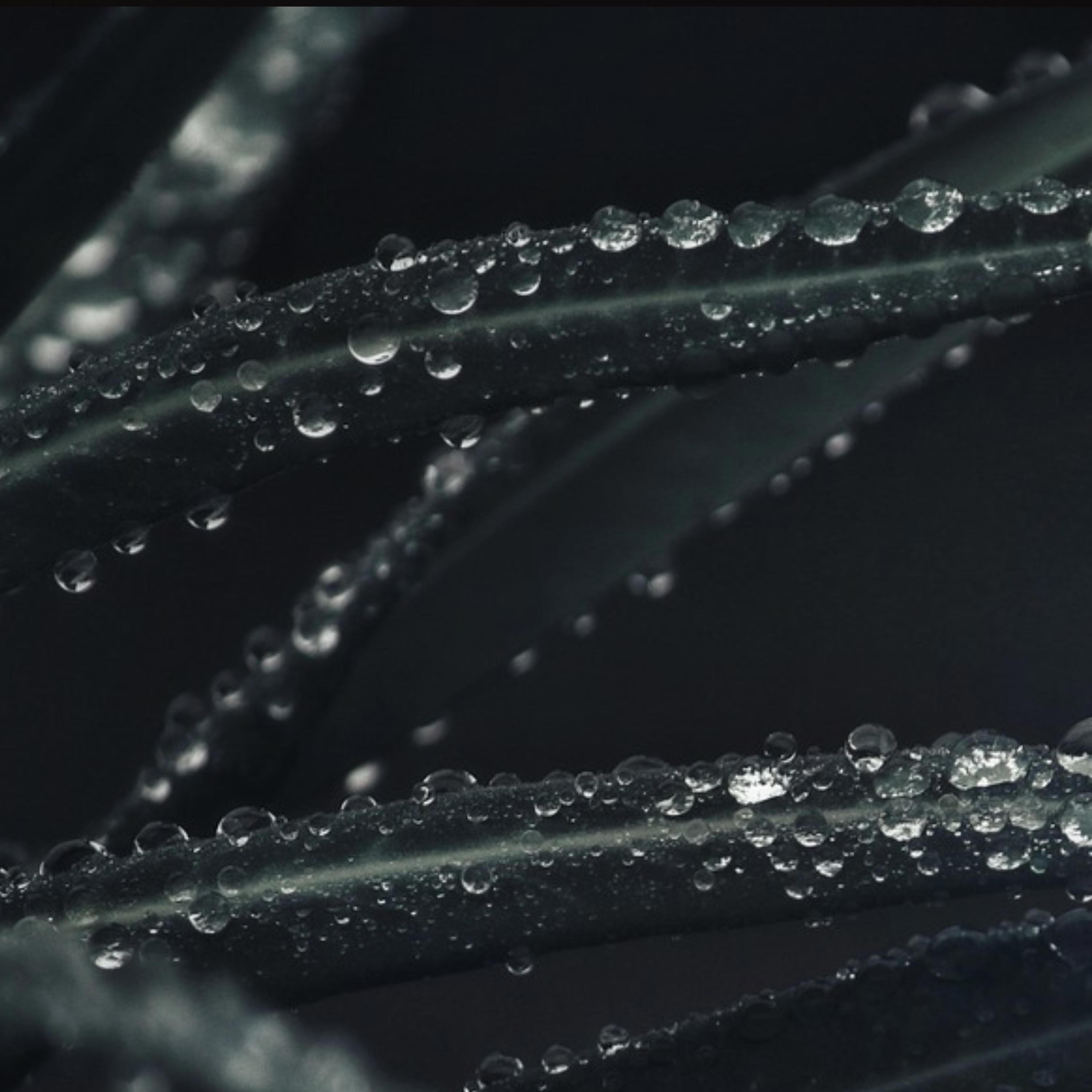 Релиз Rainvale