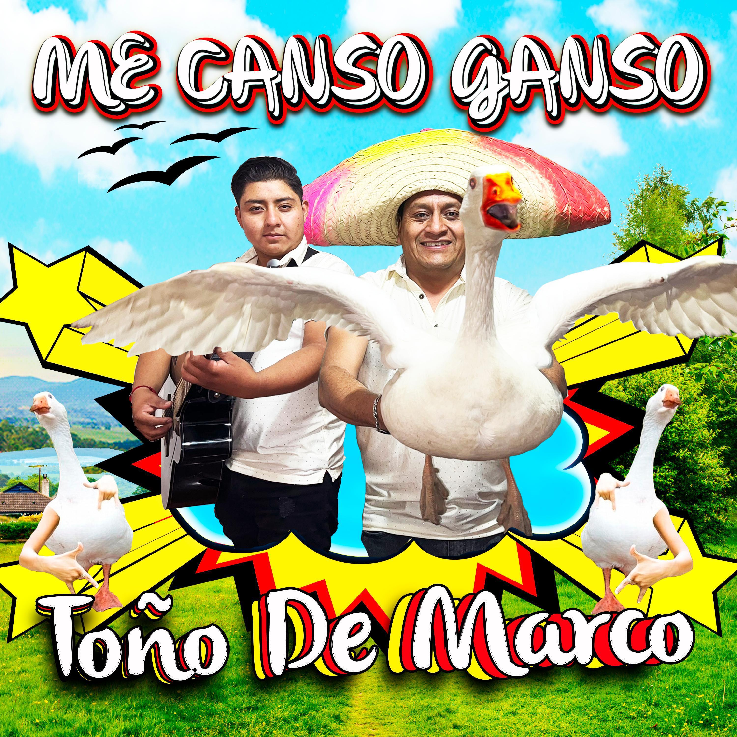 Toño de Marco