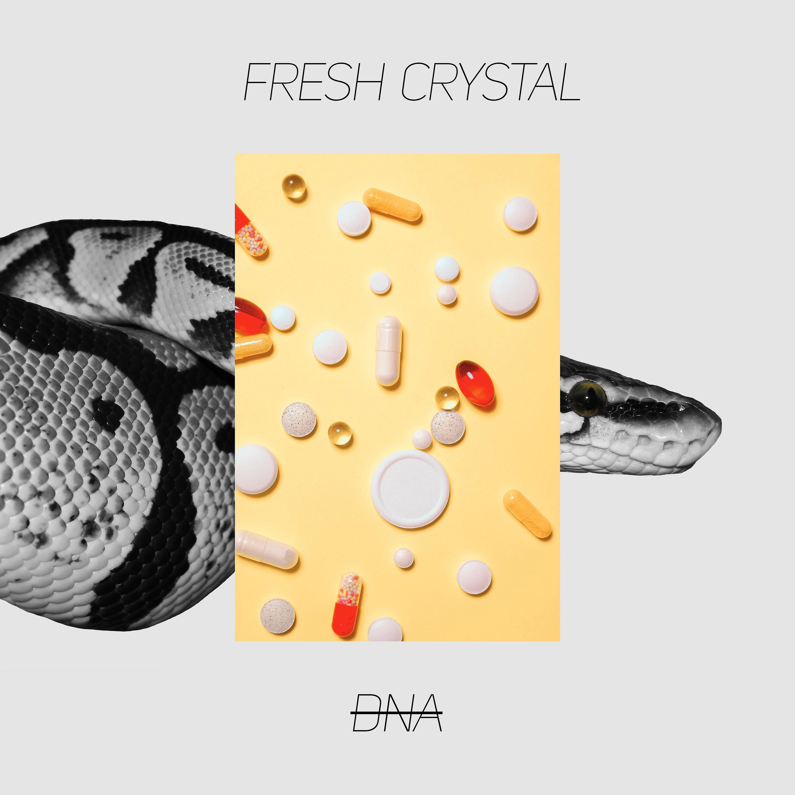 Релиз DNA