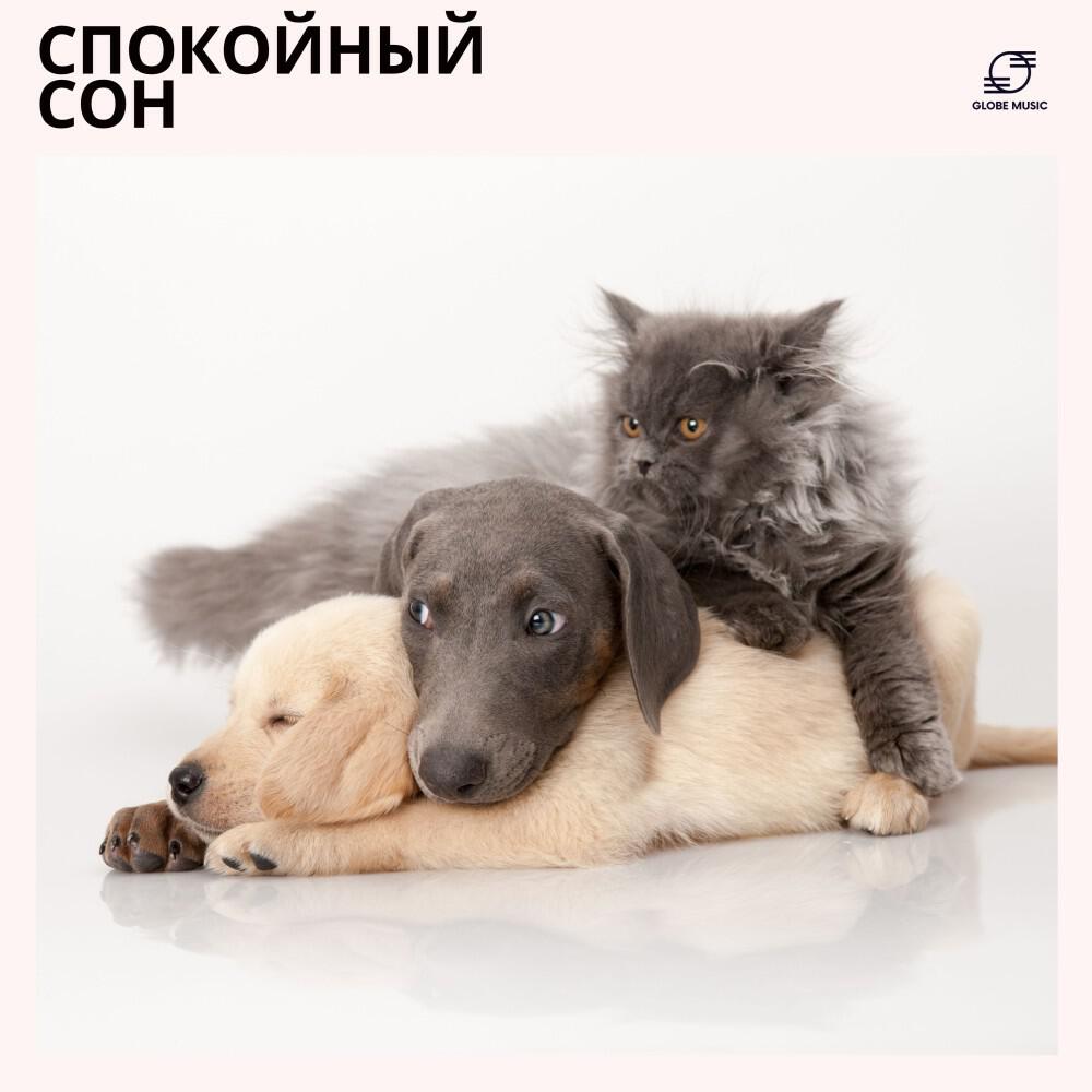 Звуковая терапия для собак