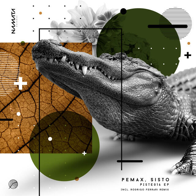 Релиз Piste016 (Rodrigo Ferrari Remix)