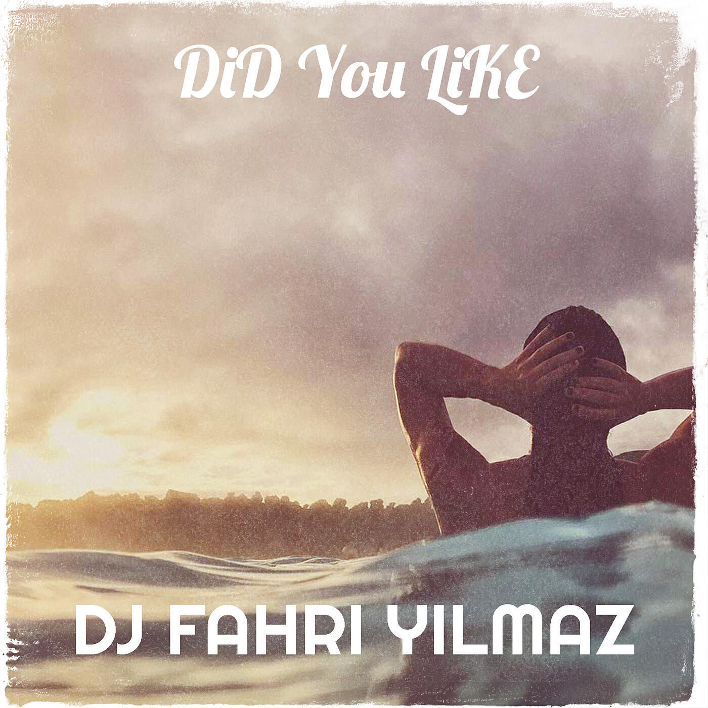 Релиз Did You Like