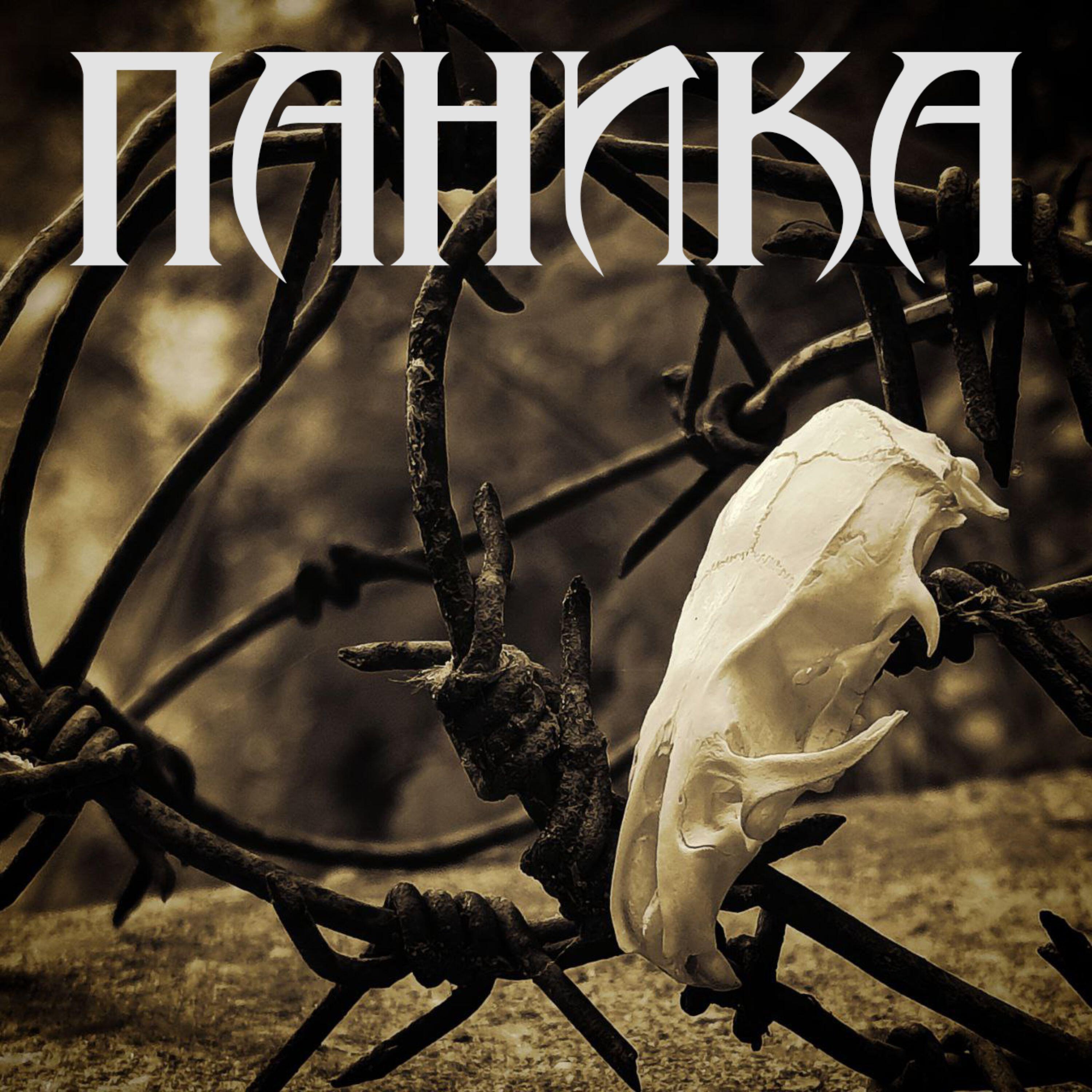 Релиз Паника