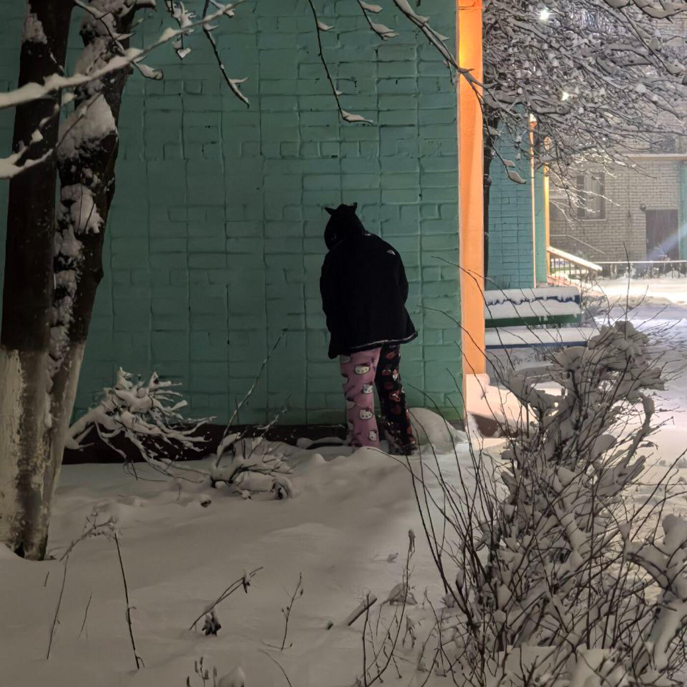 Релиз Эксперимент трезвого