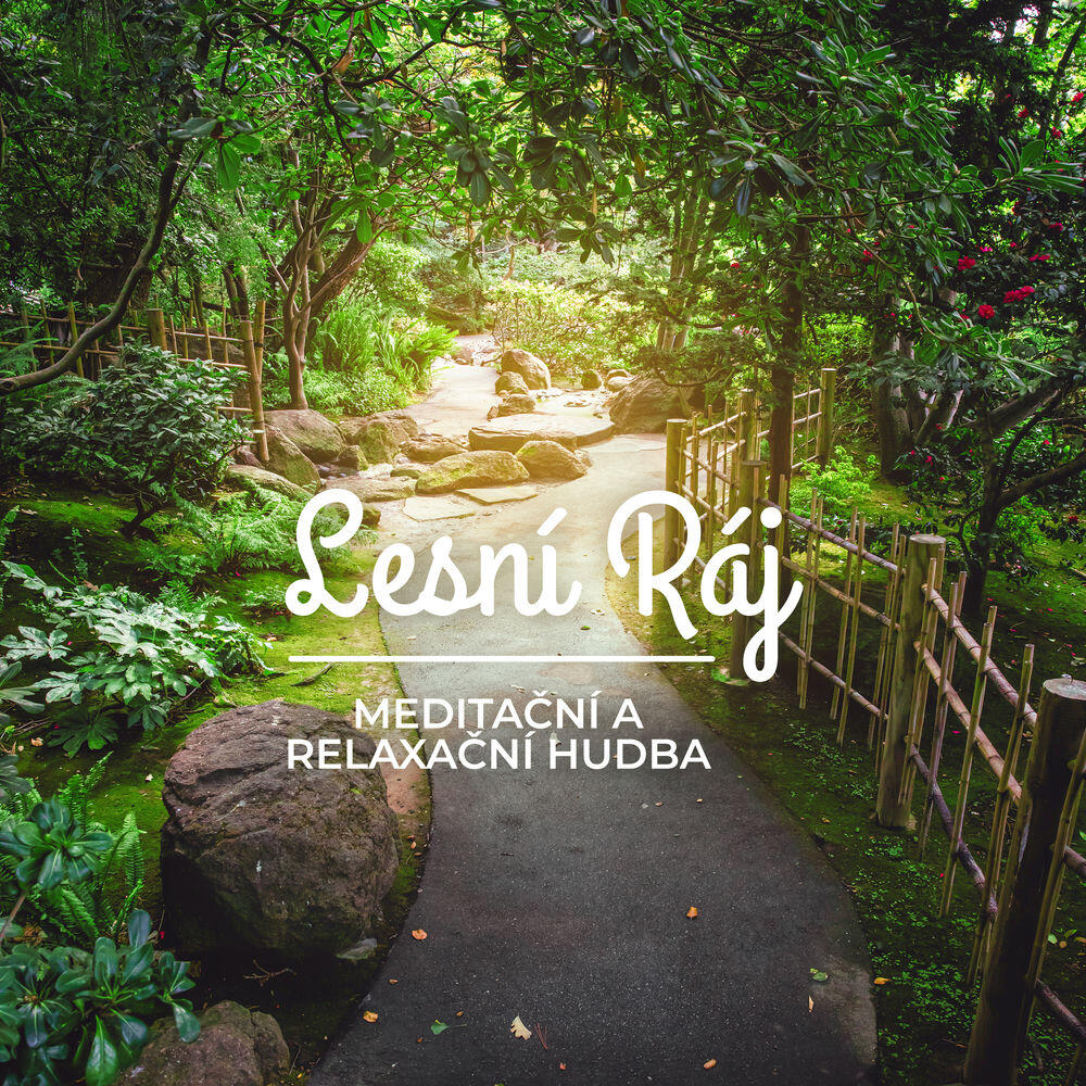 Релиз Lesní Ráj: Meditační a Relaxační Hudba