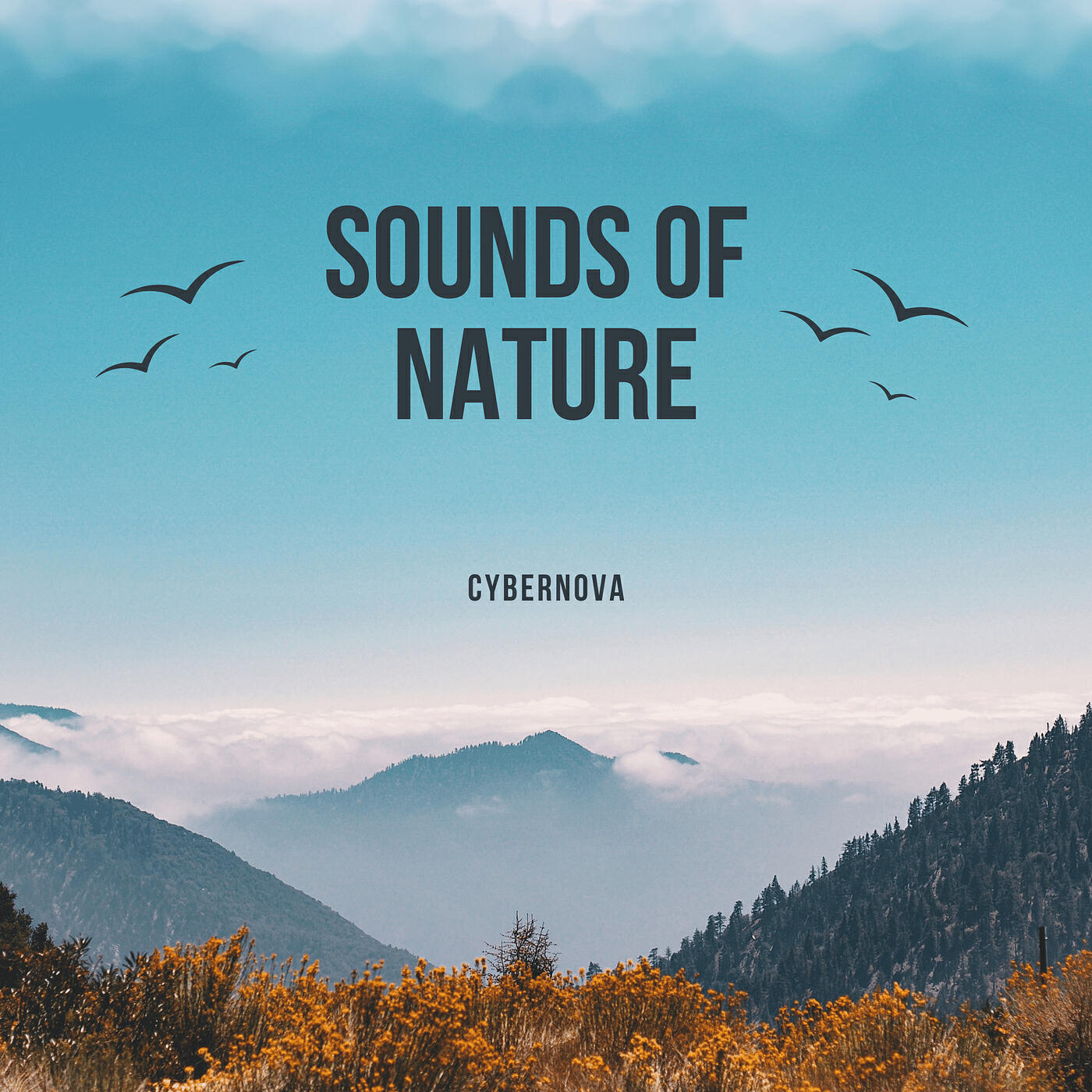 Релиз Sounds of Nature