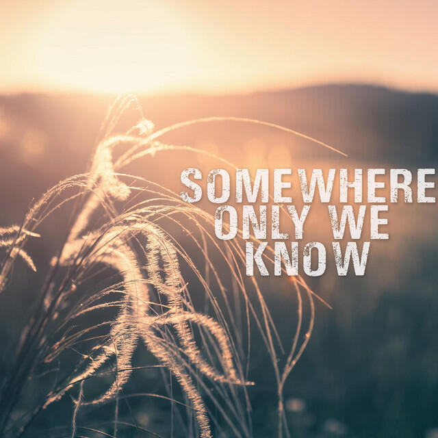 Релиз Somewhere Only We Know (Acoustic Piano)