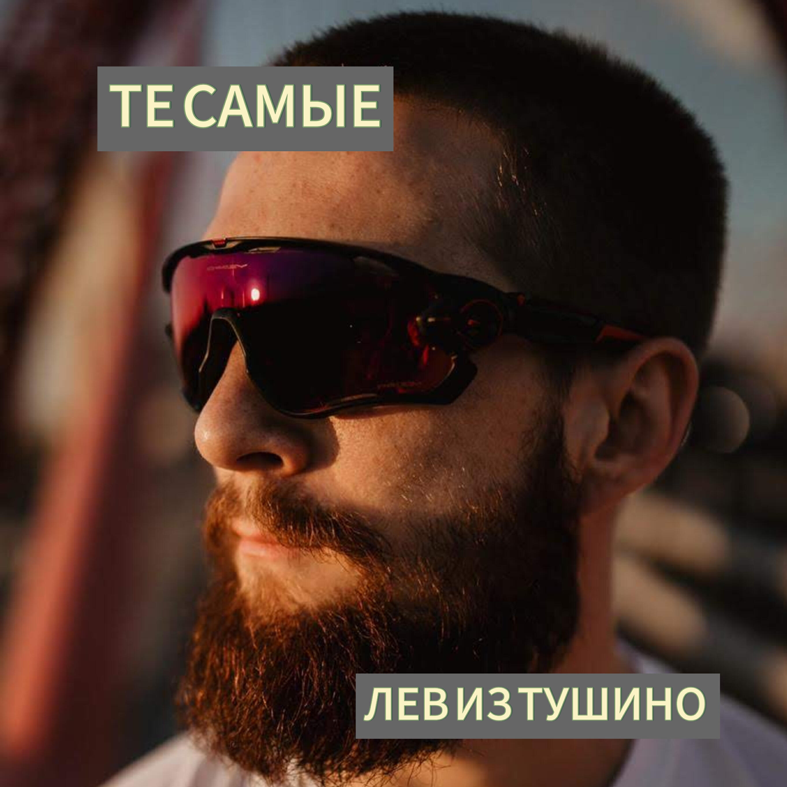 Постер альбома Лев из Тушино
