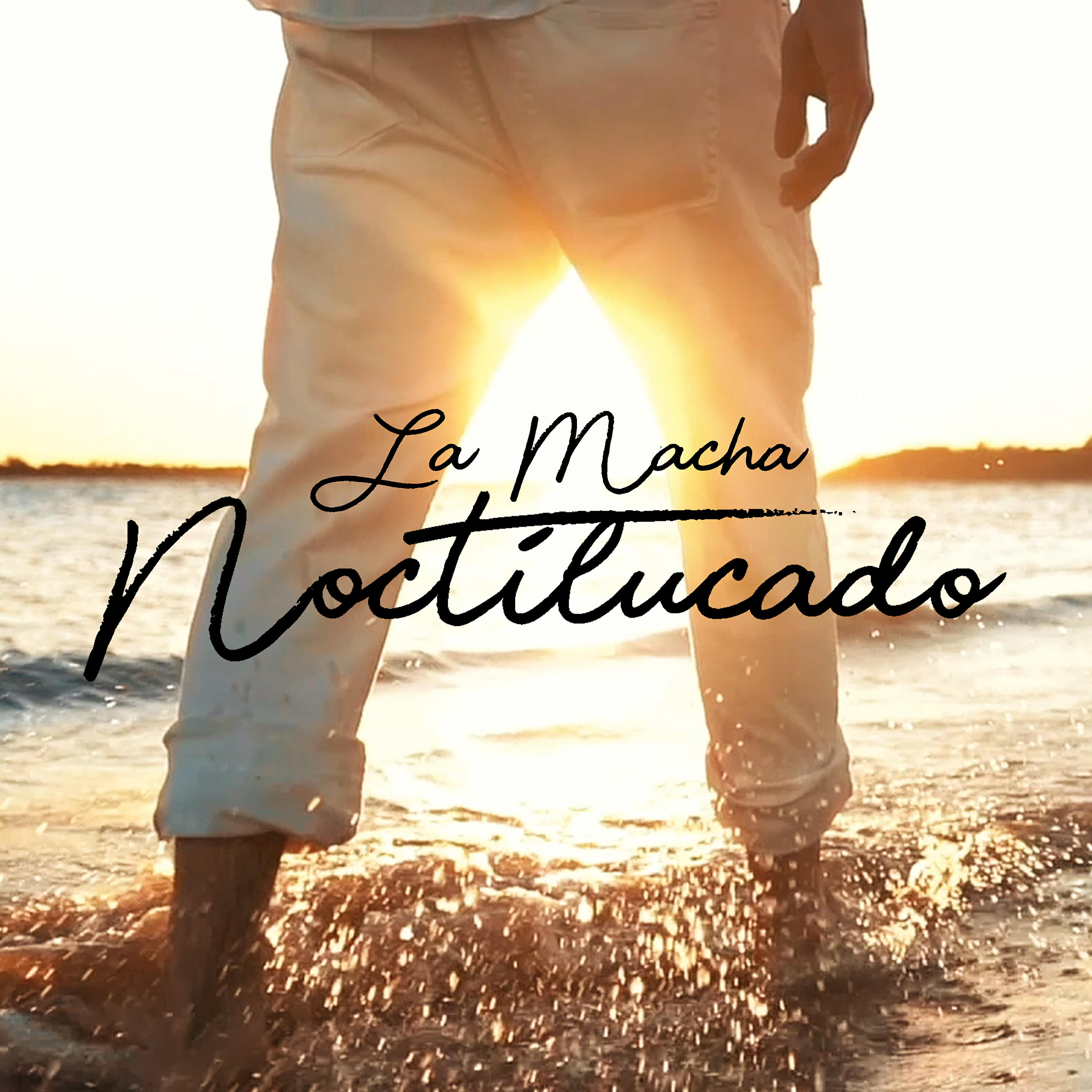 Релиз Noctilucado