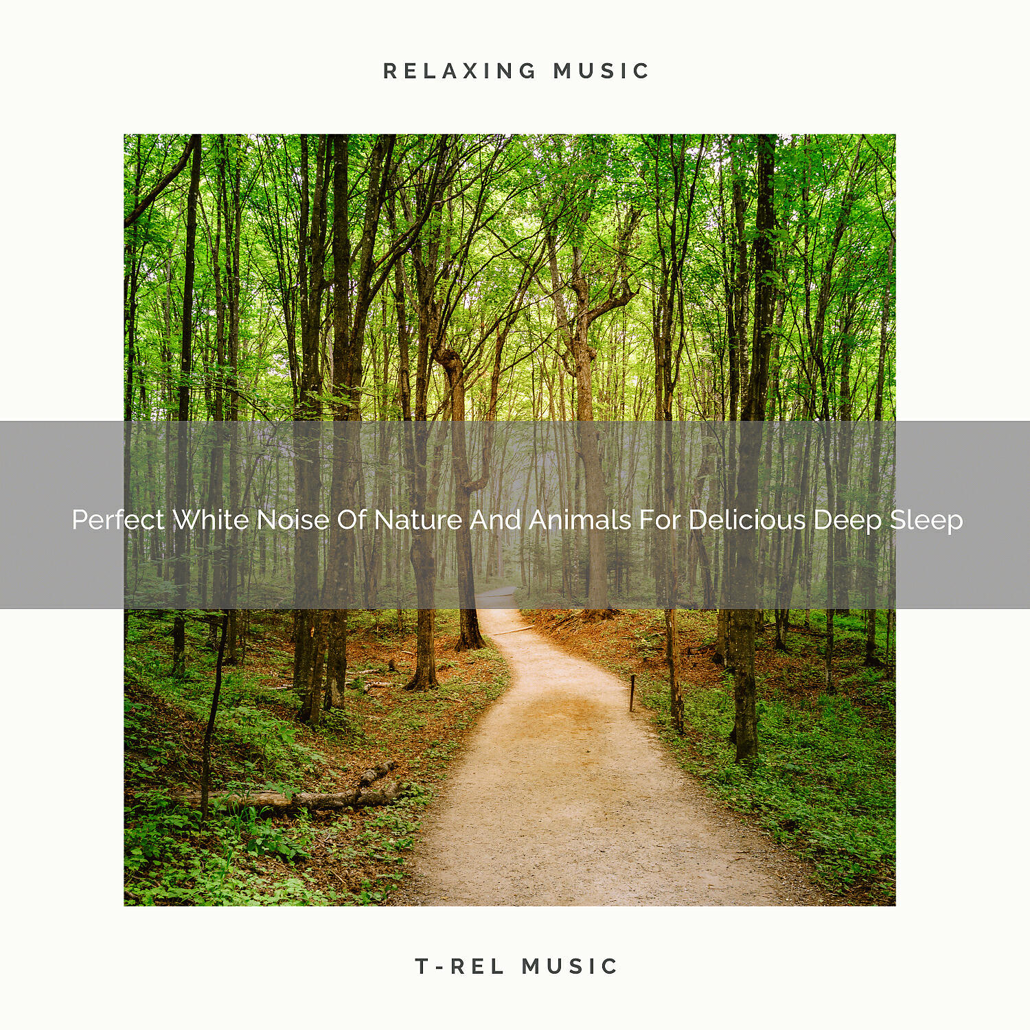 Релиз Perfect White Noise Of Nature And Animals For Delicious Deep Sleep