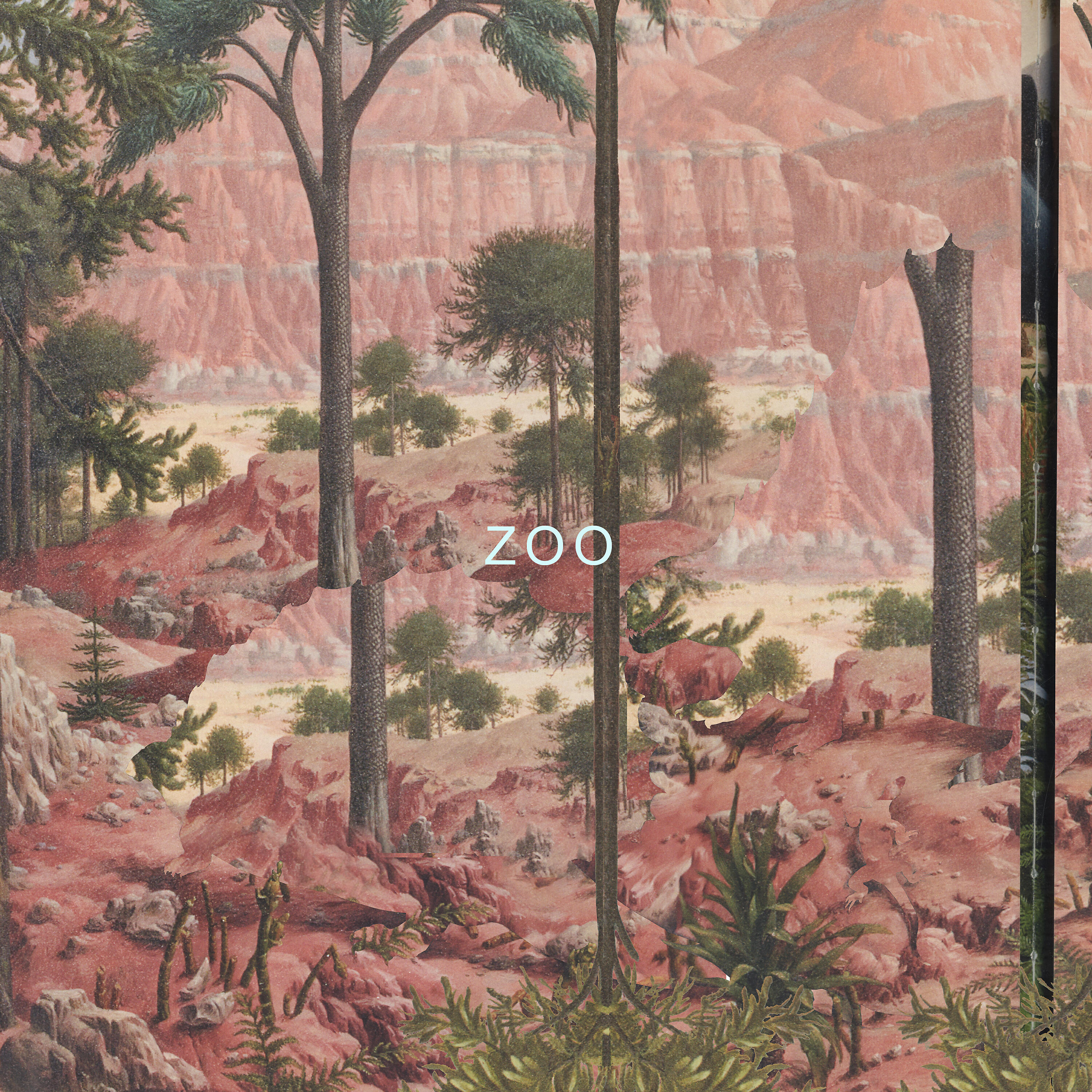 Релиз ZOO