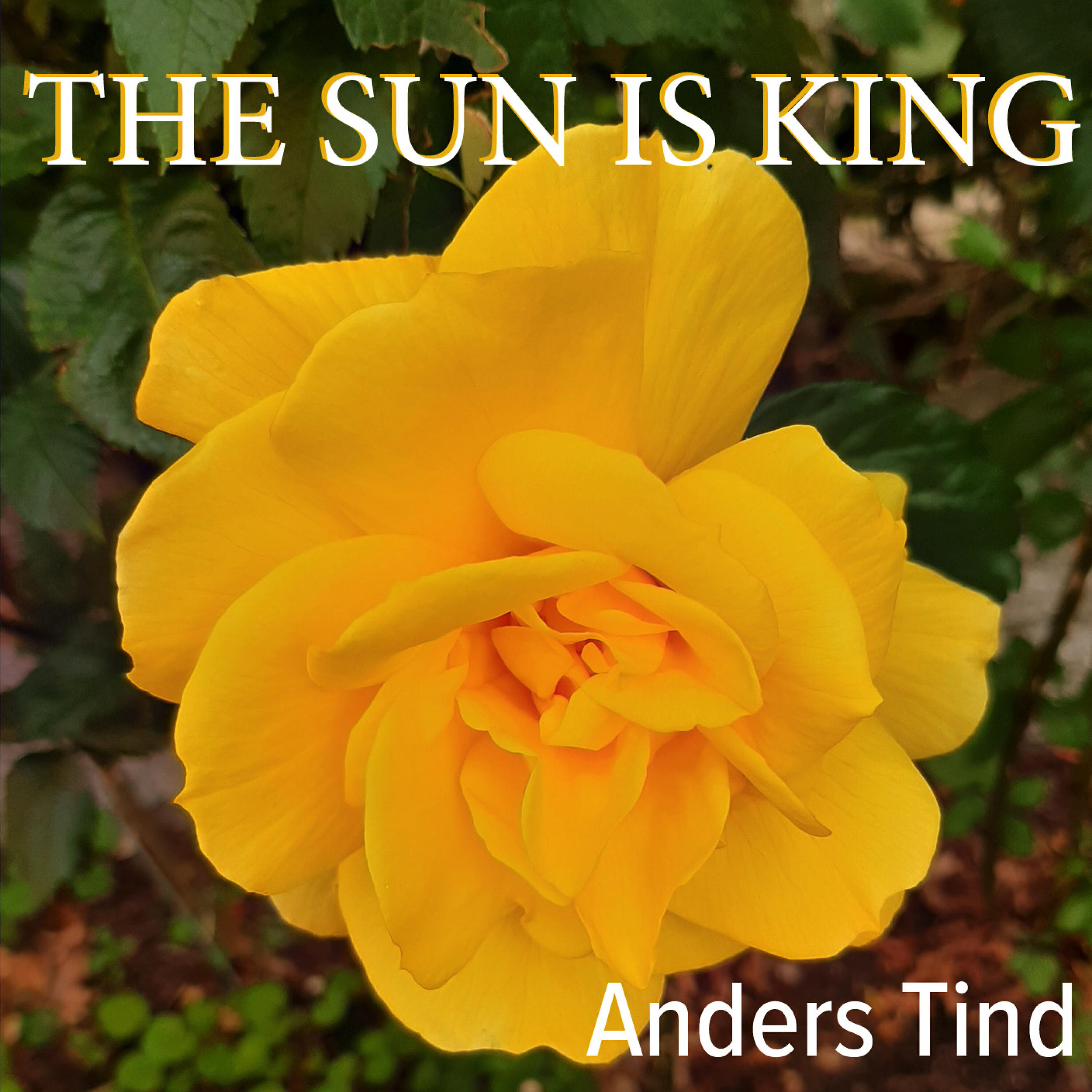Anders Tind