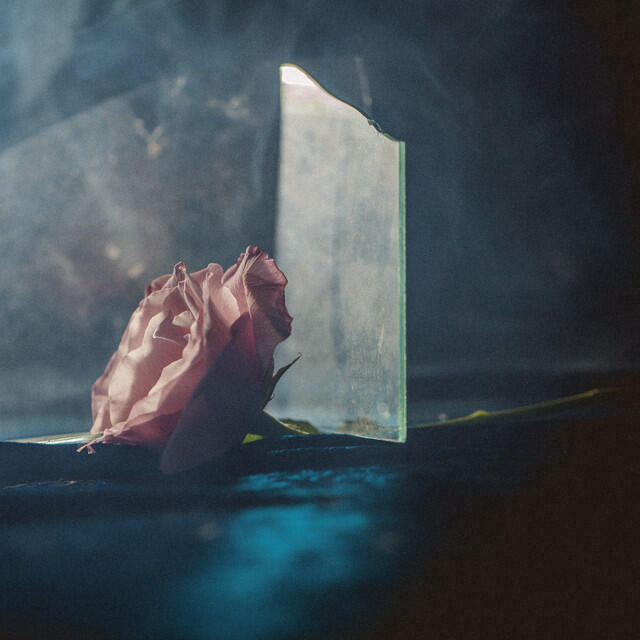 Релиз In Virus Times