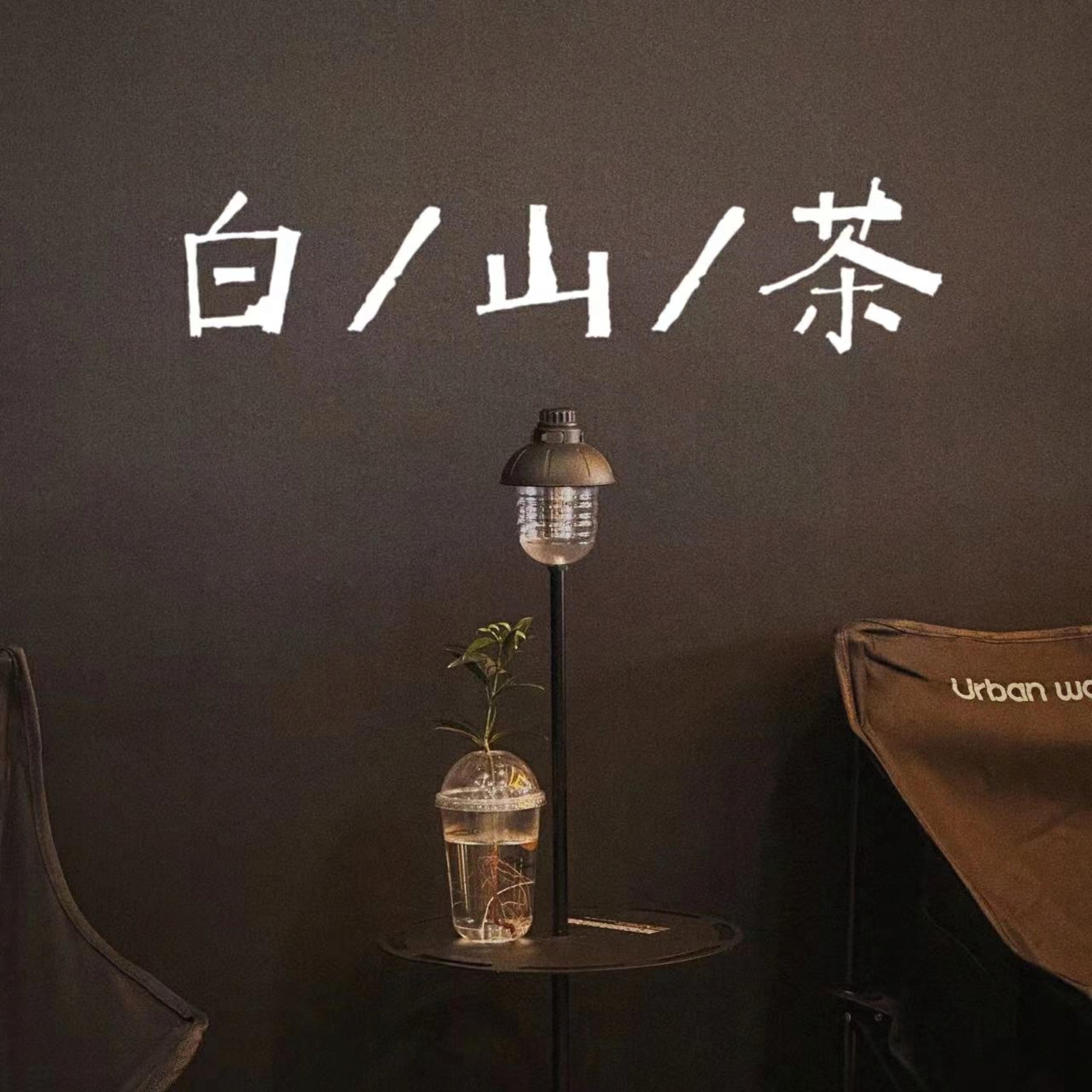 Релиз 白山茶