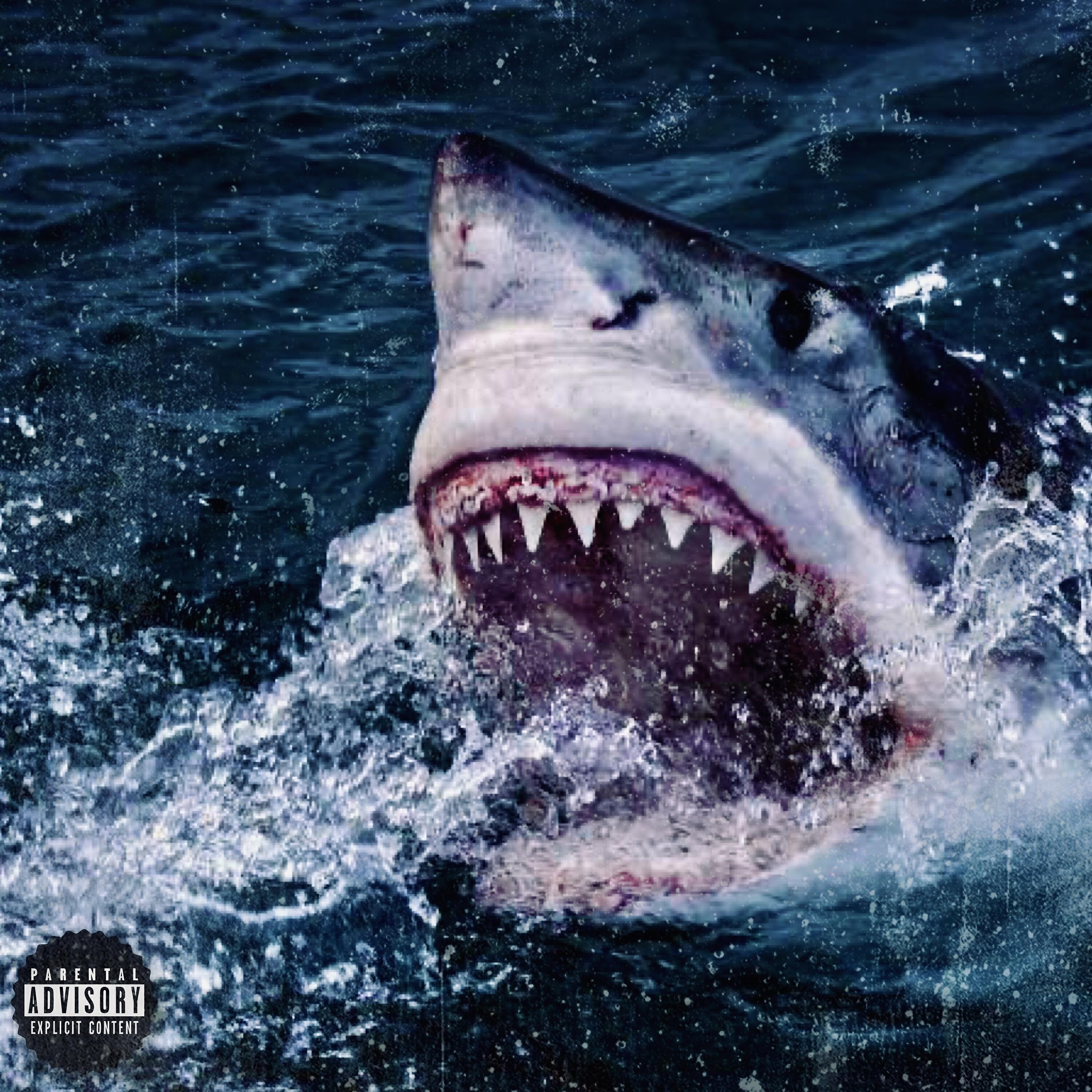 Релиз Shark, Pt. 2