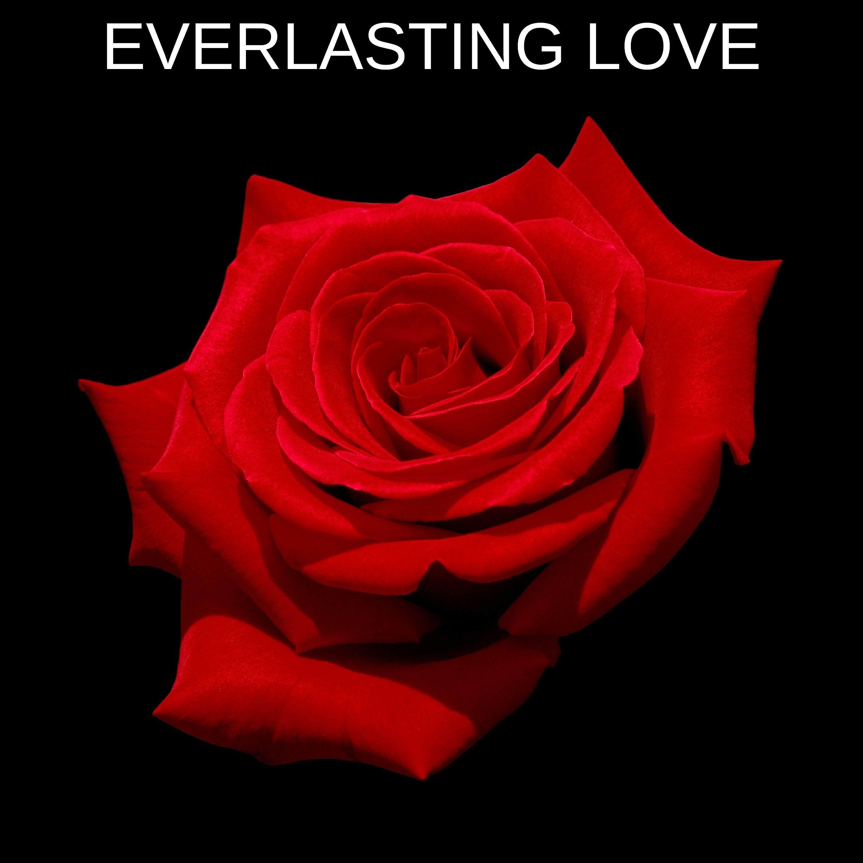Релиз Everlasting Love