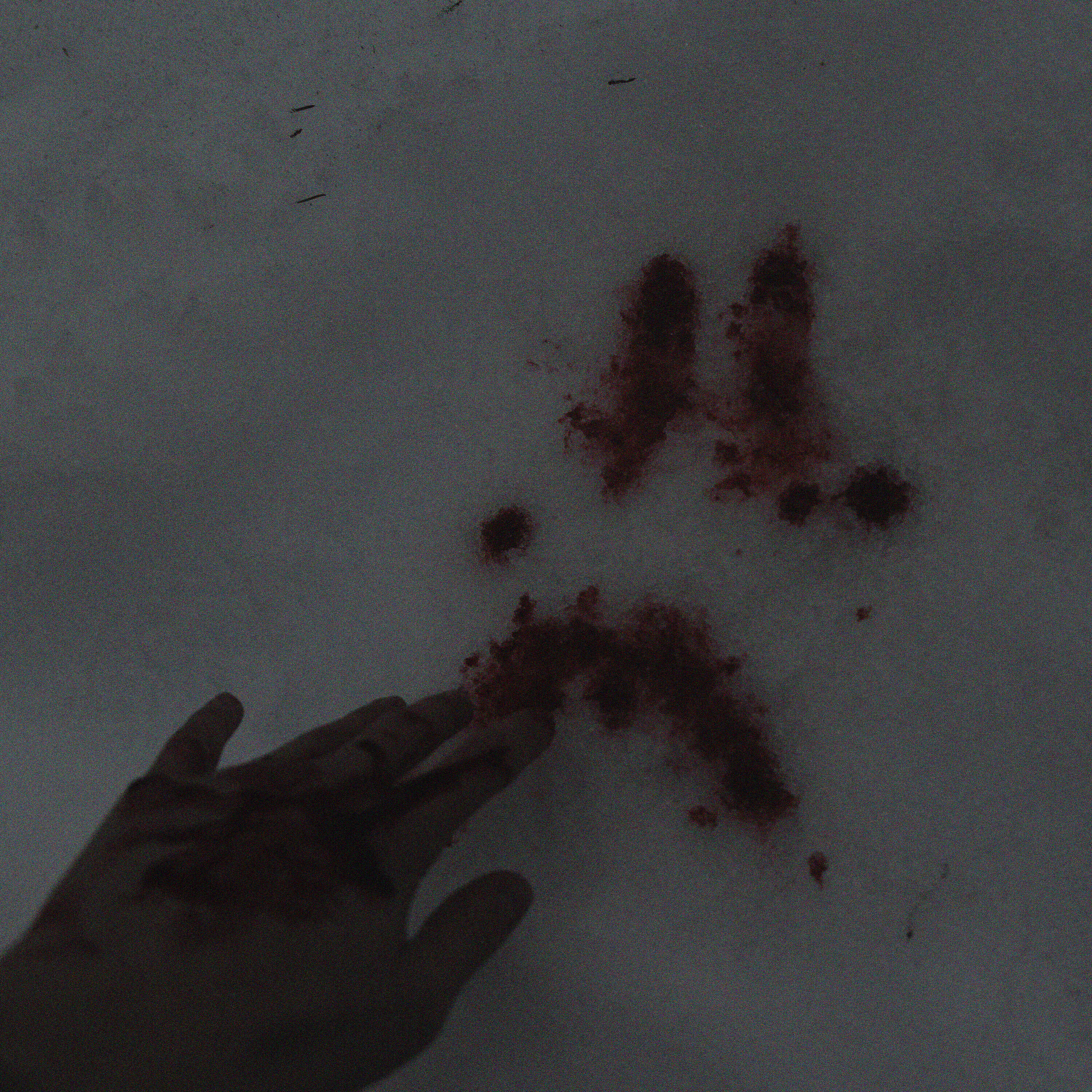 Релиз you