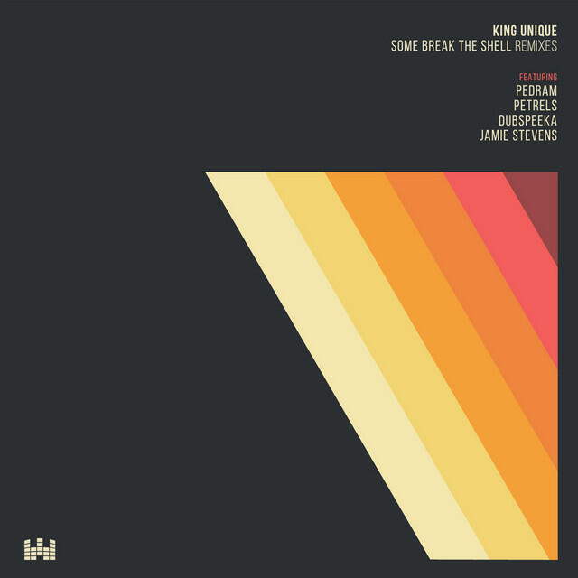 Релиз Some Break the Shell Remixes