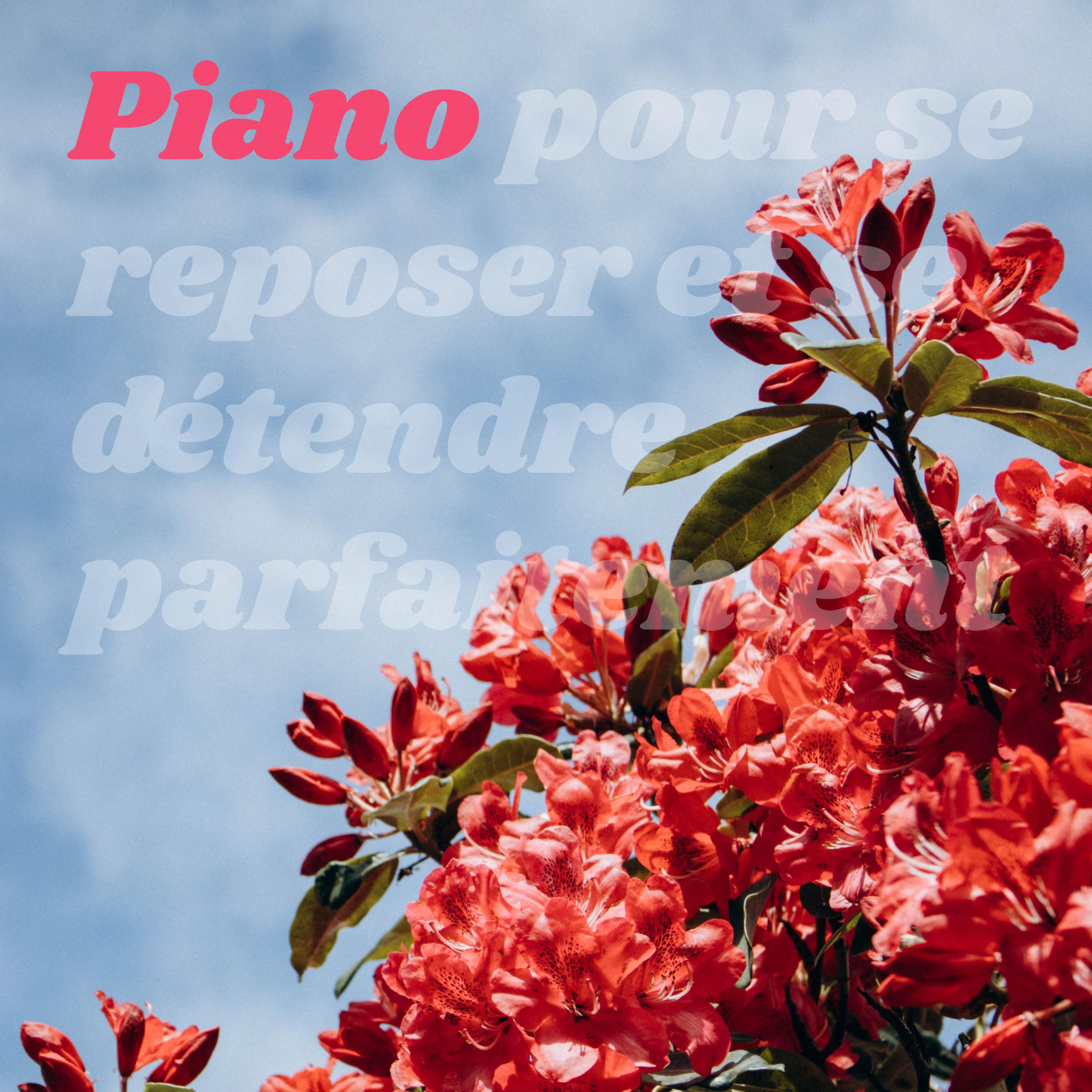 Релиз Piano pour se reposer et se détendre parfaitement
