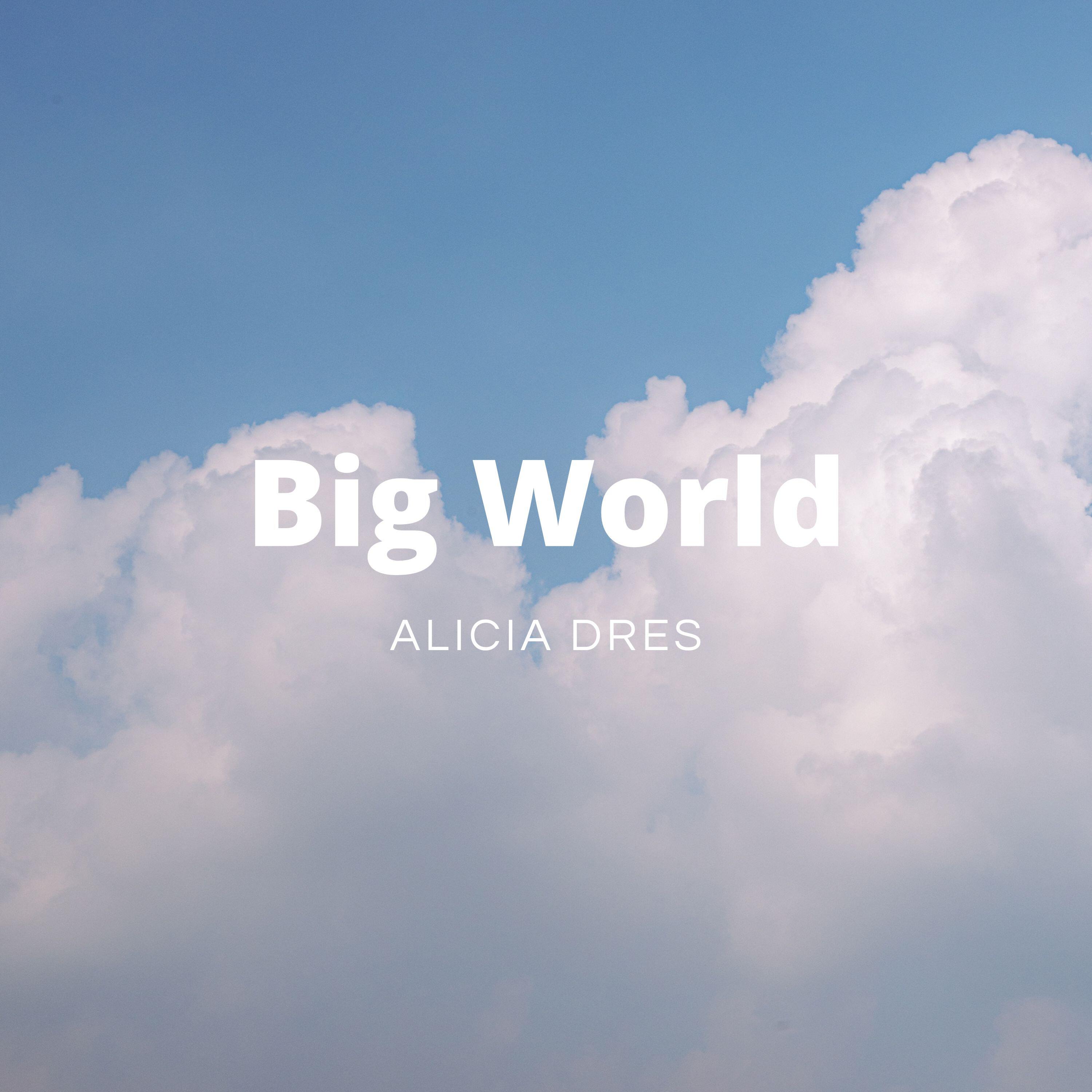 Релиз Bid World