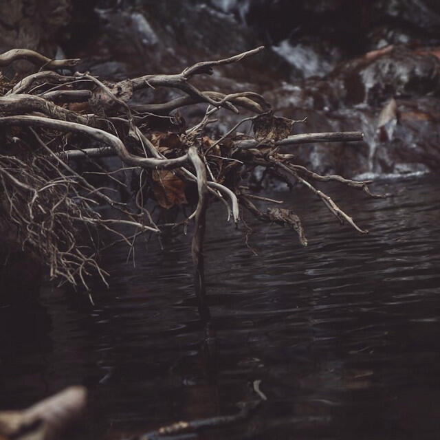 Релиз Revenant Ghost