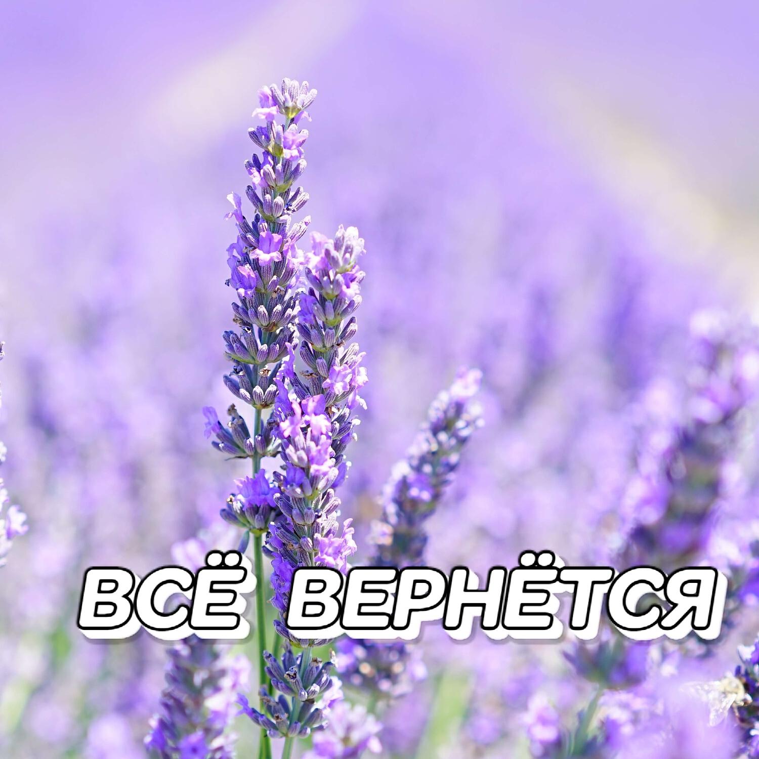 Релиз ВСЁ ВЕРНЁТСЯ
