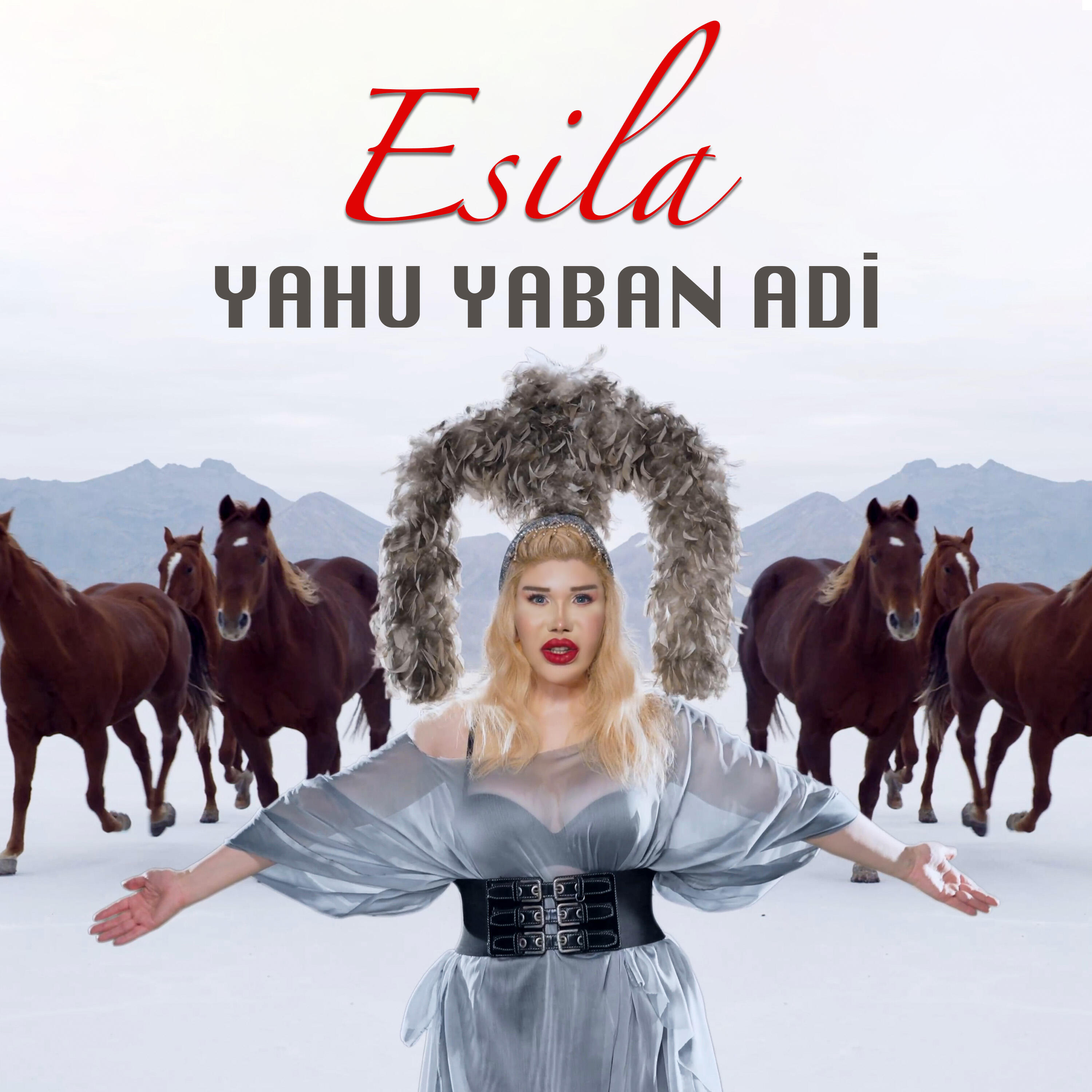 Релиз Yahu Yaban Adi