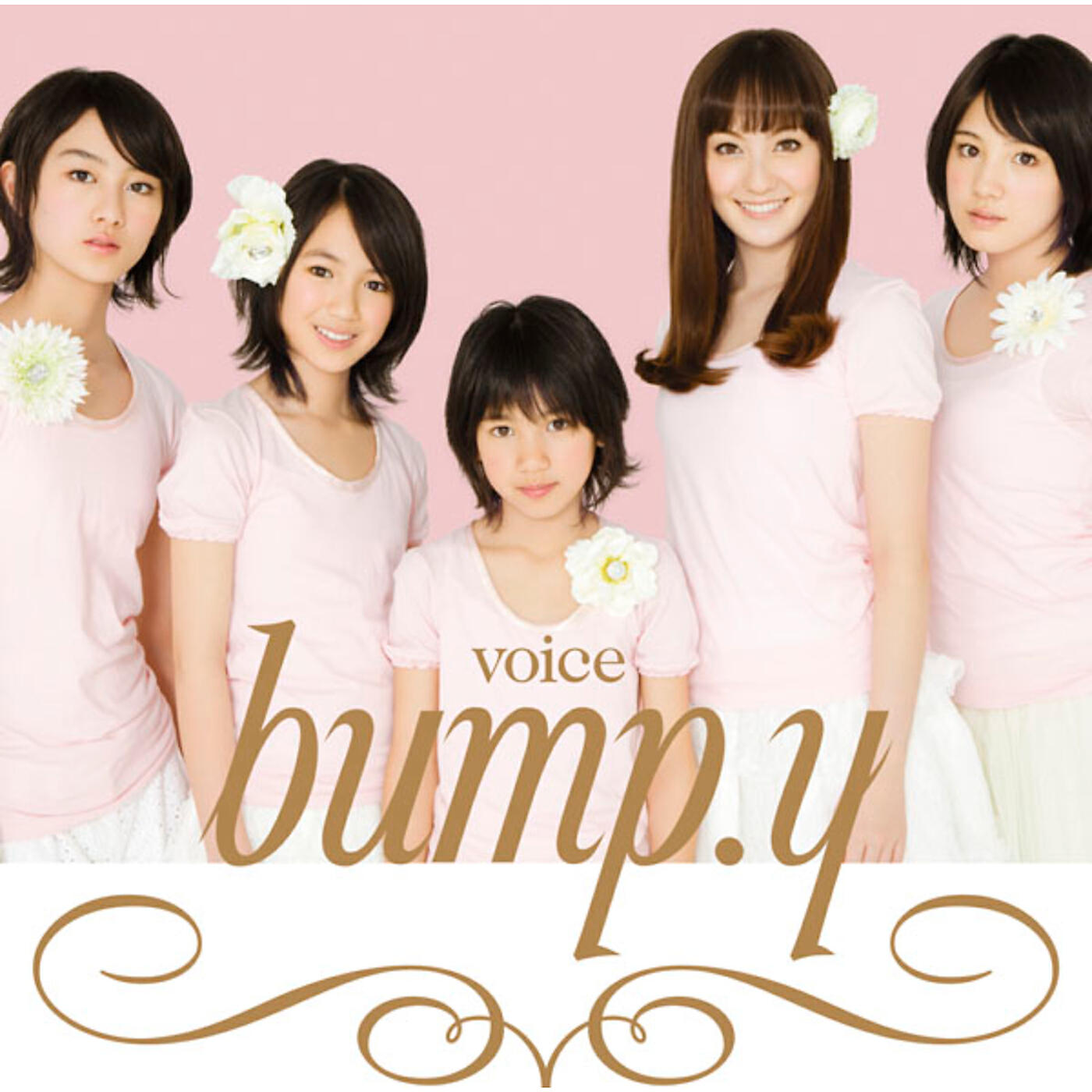Релиз voice