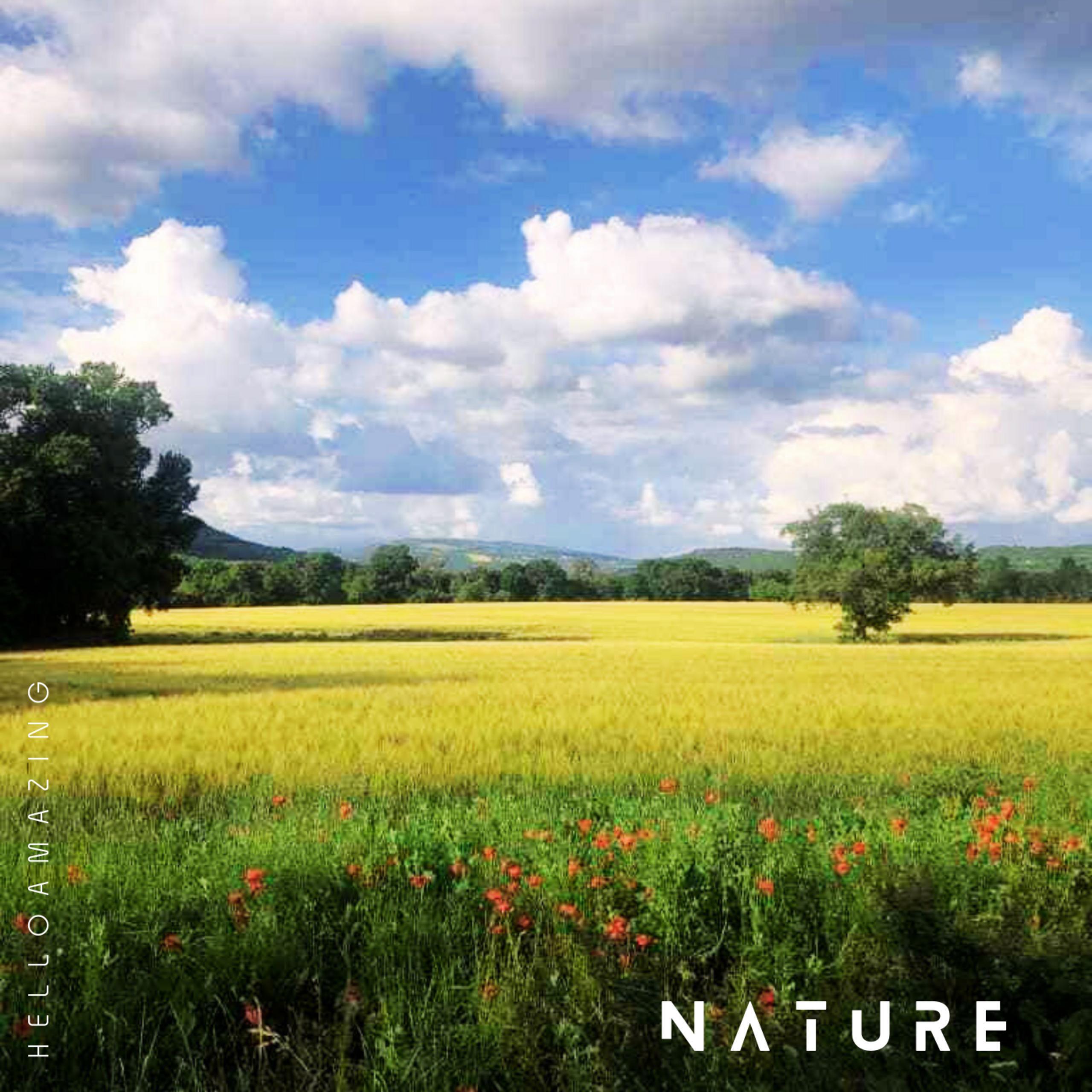 Релиз Nature