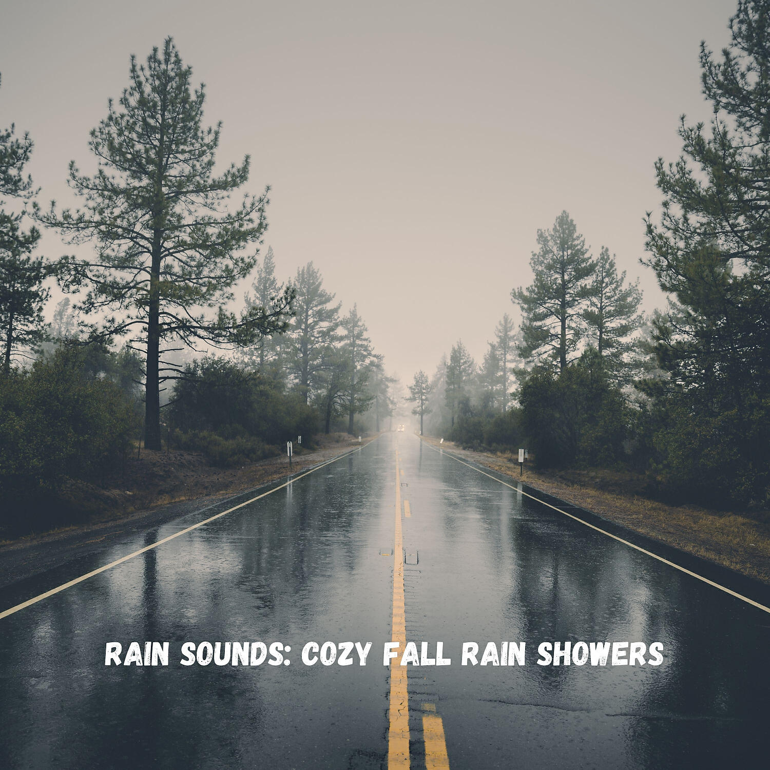 Rain Sounds & Weather and Nature Recordings & Easy Listening Background Music - Rain Showers
