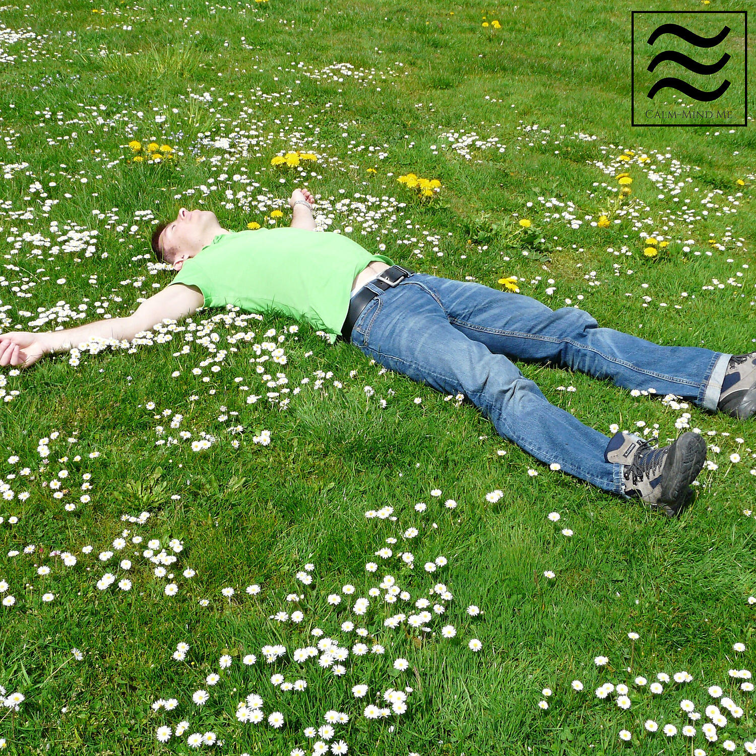 Постер альбома Peaceful Soughs for Sleeping Well