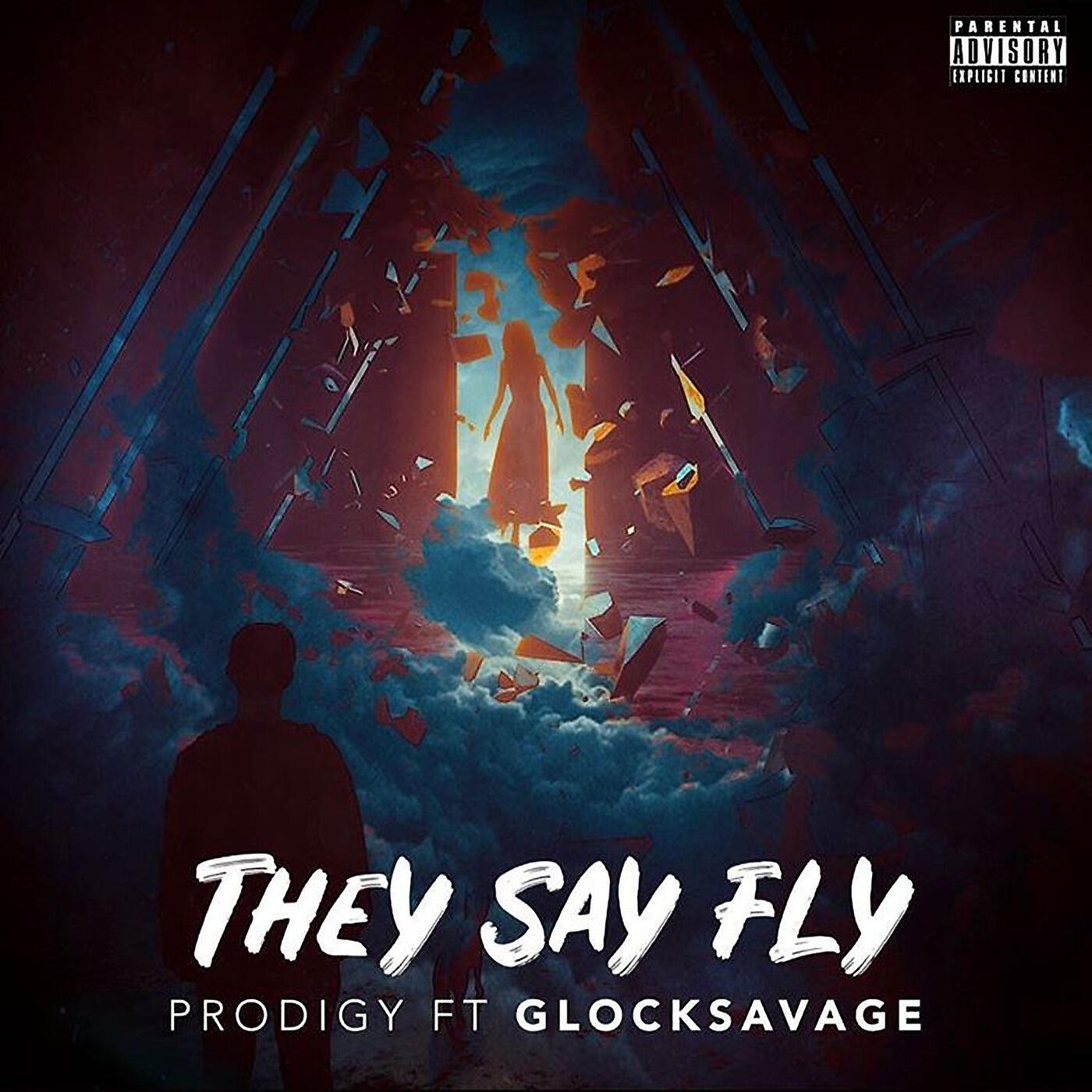 Постер альбома They Say Fly
