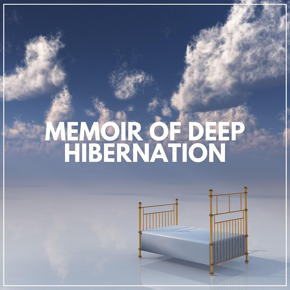 Релиз Memoir of Deep Hibernation
