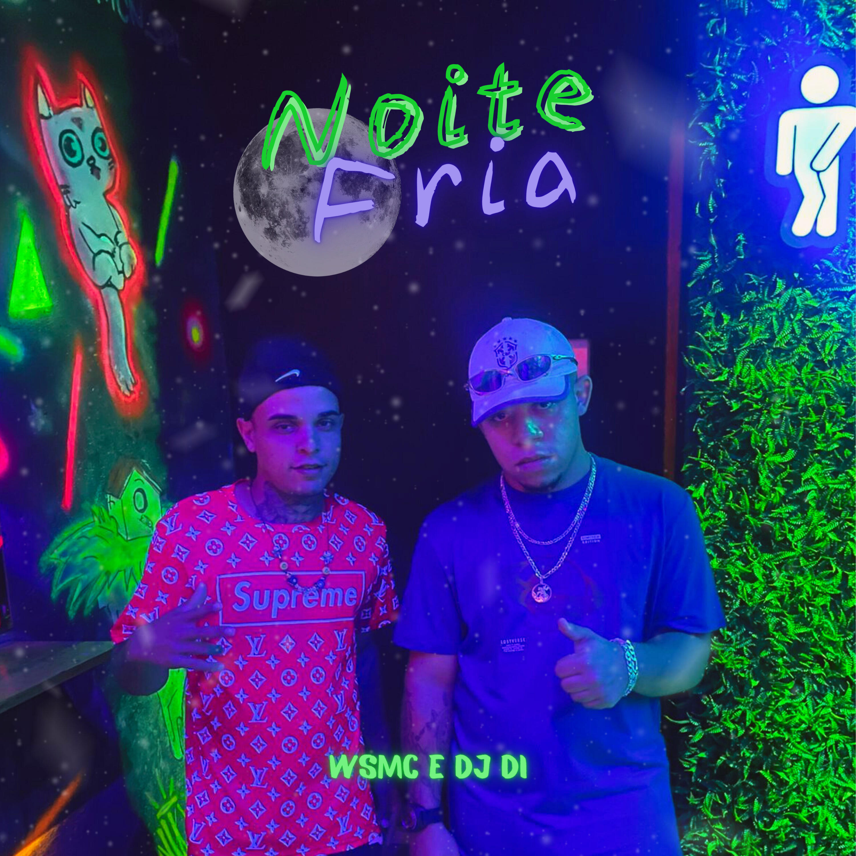Скачать песню WSMC, DJ Di - Noite Fria бесплатно в MP3 для Android и iOS