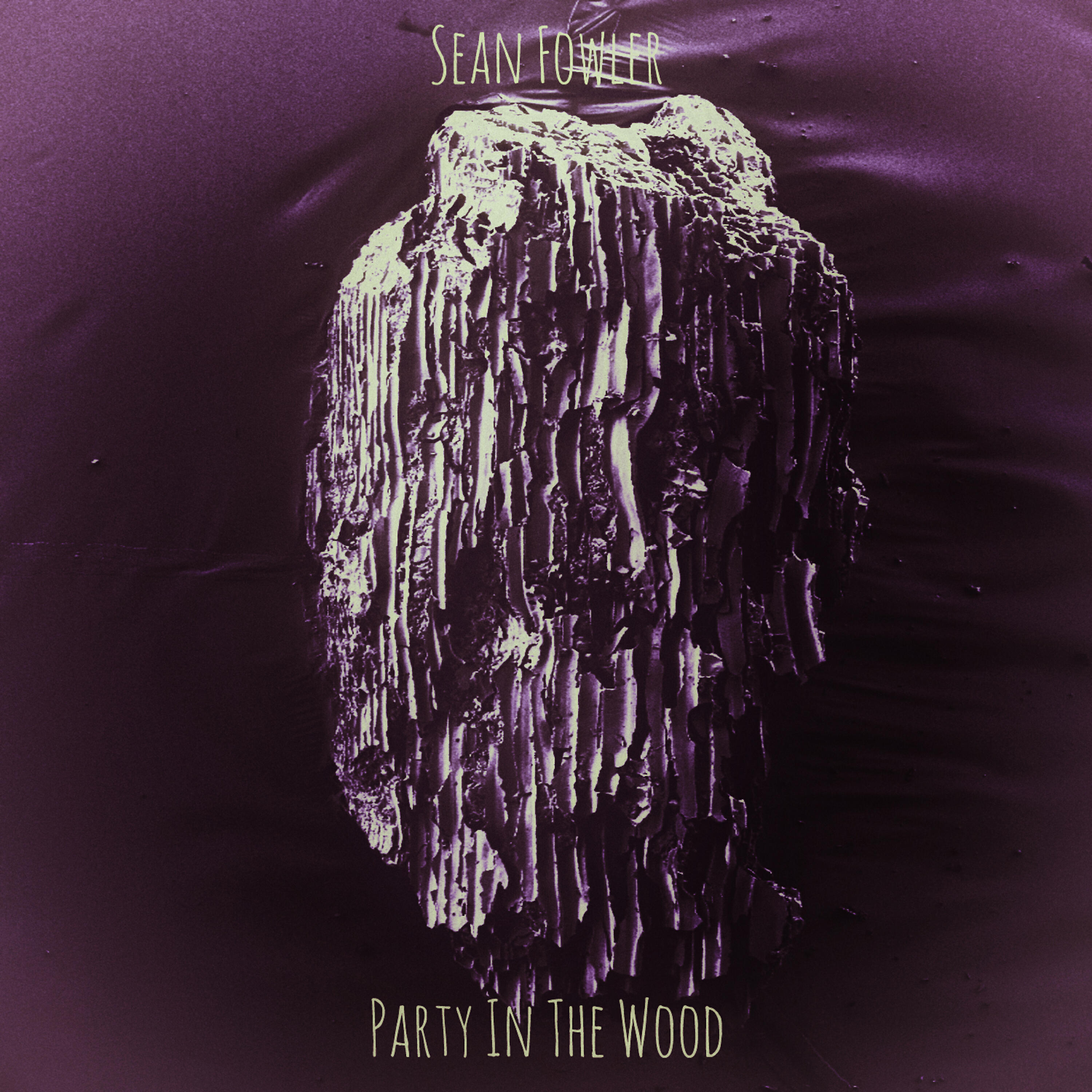 Релиз Party in the Wood