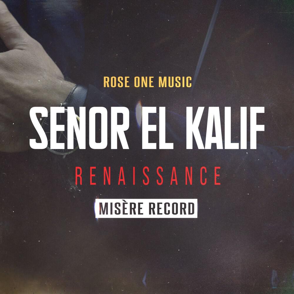 Релиз Renaissance